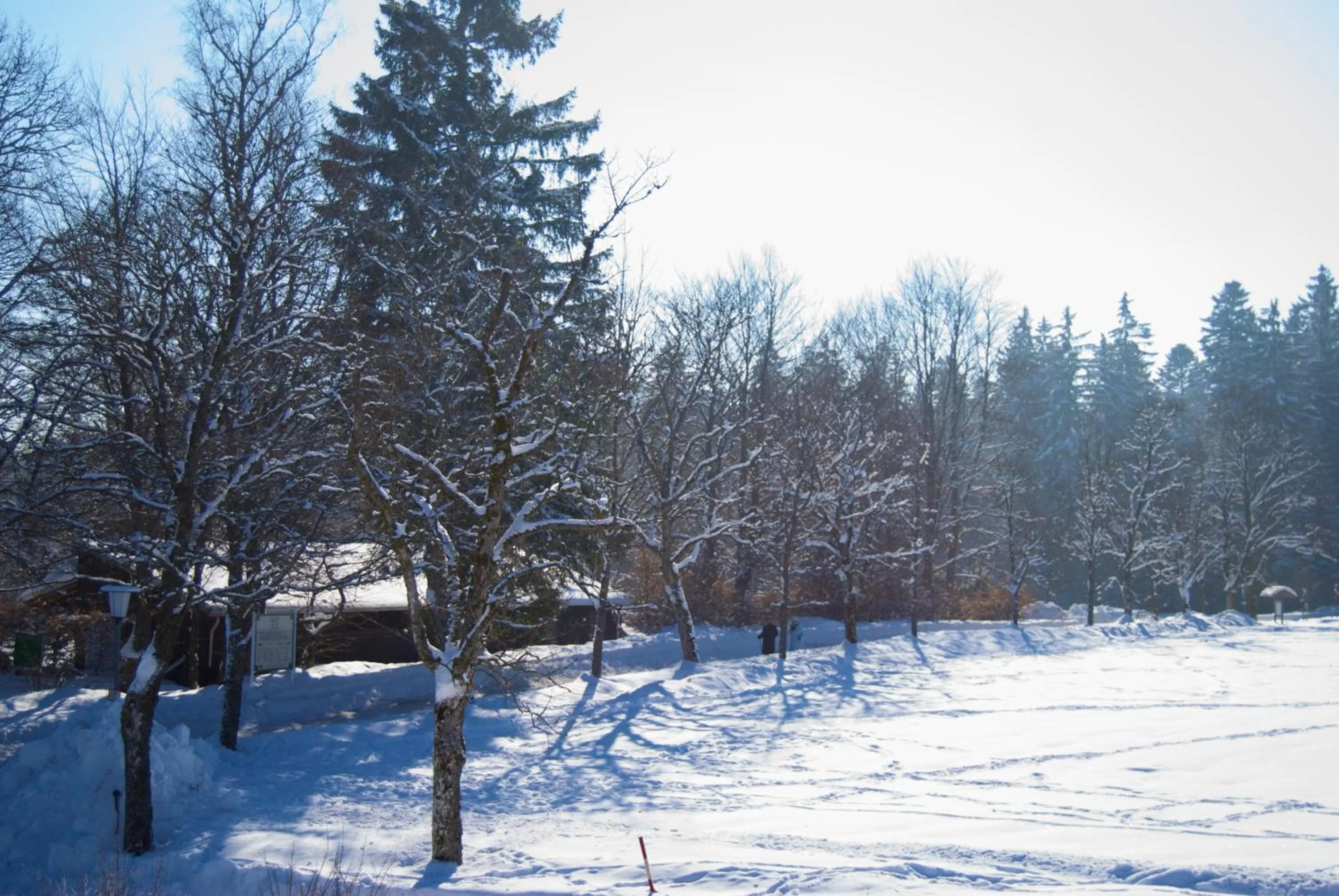 Winter in Hotel Restaurant Bären