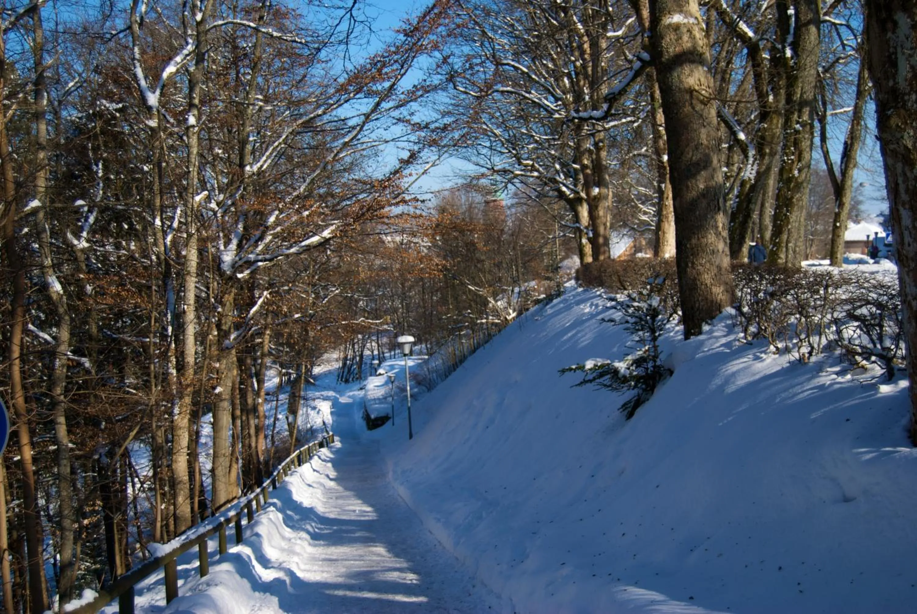 Winter in Hotel Restaurant Bären