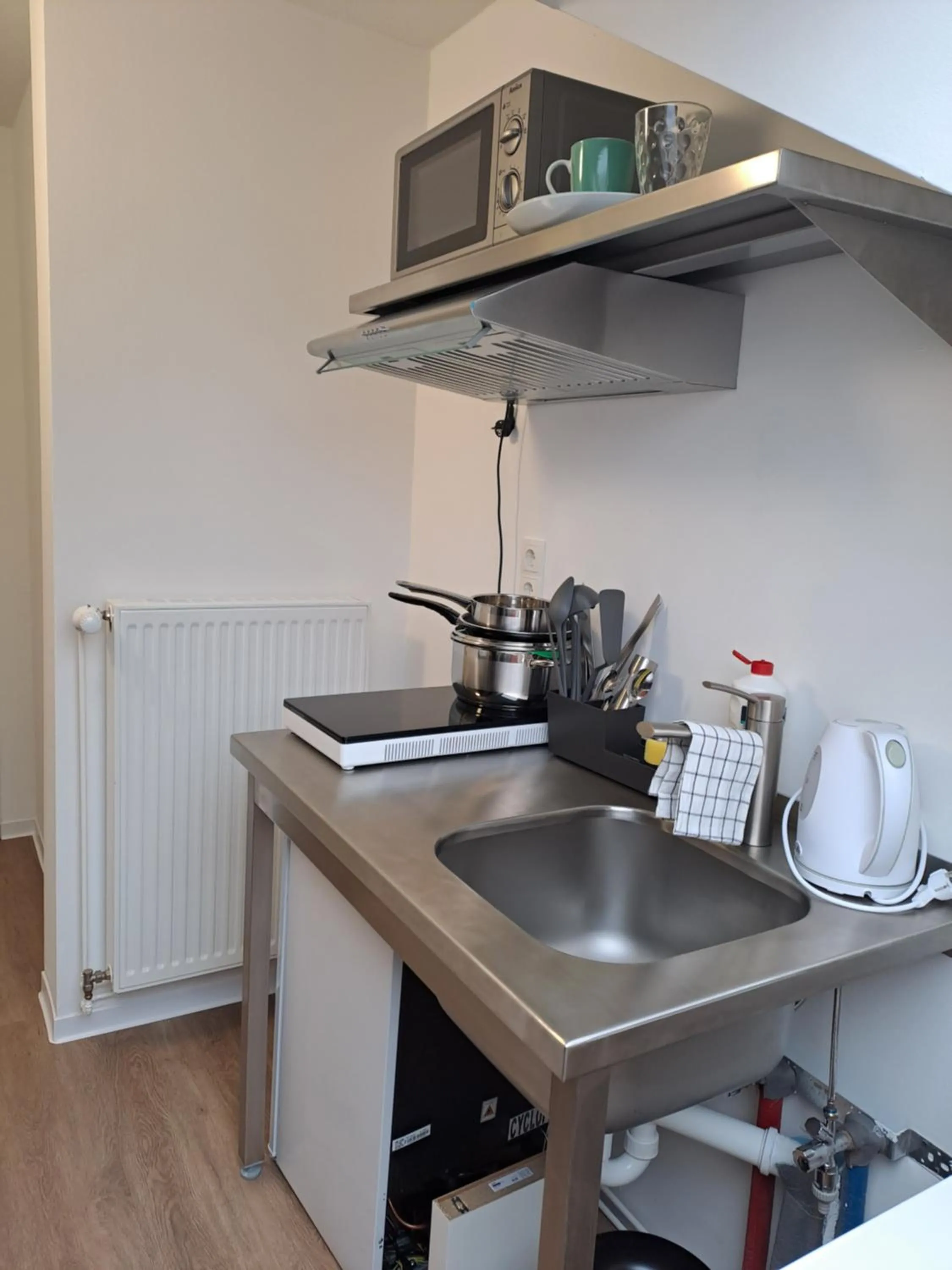 Kitchen or kitchenette in Aparthotel Sanni