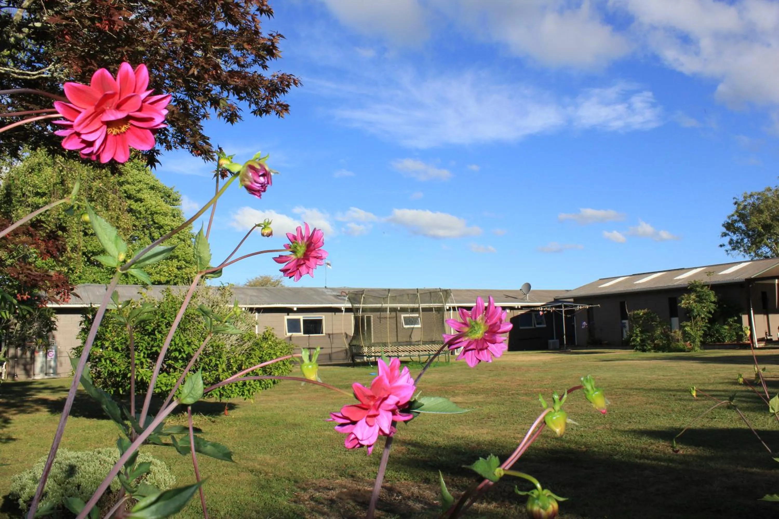Day in Jack & Di's Lakefront Motel