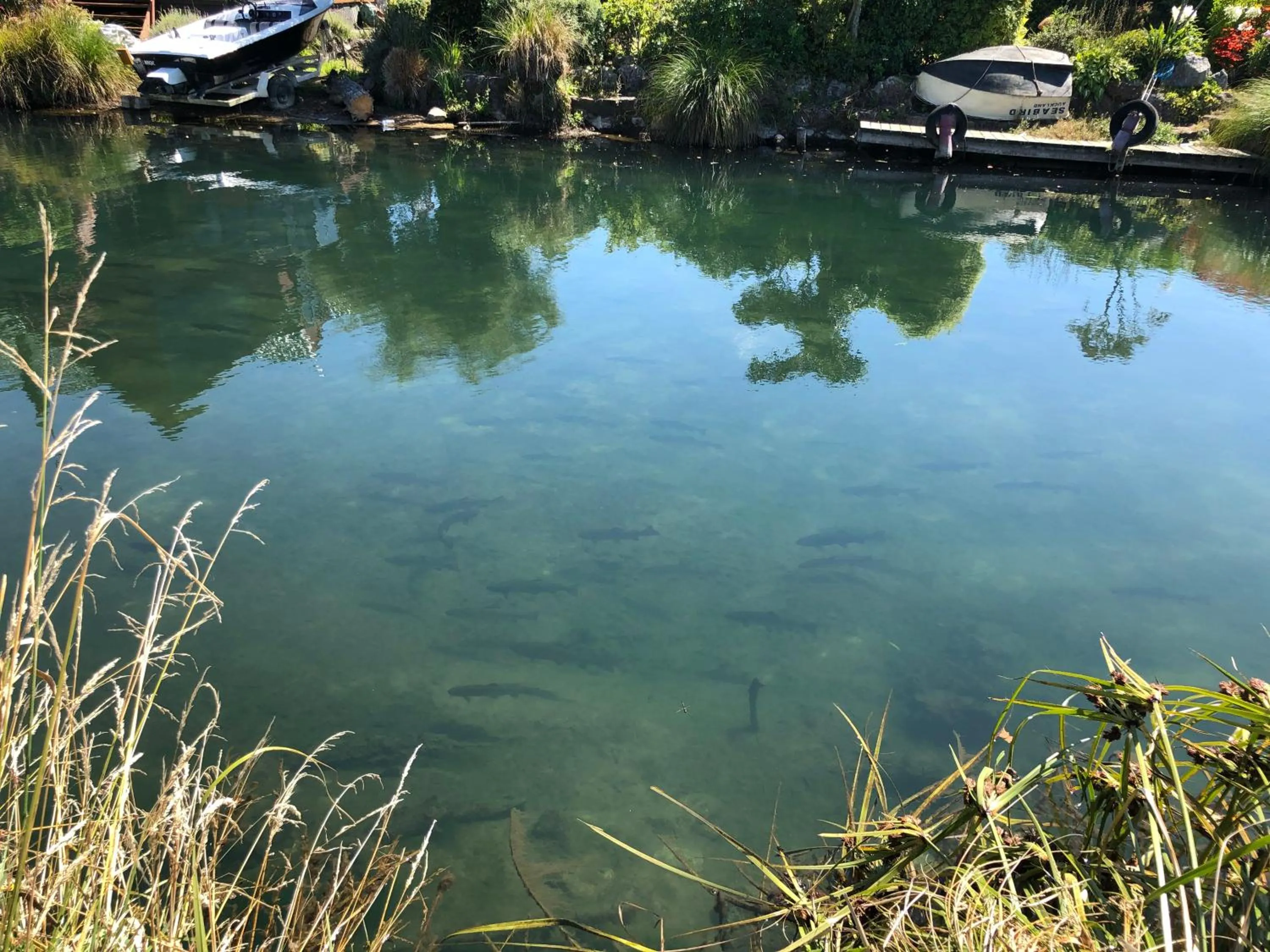 Natural landscape in Jack & Di's Lakefront Motel