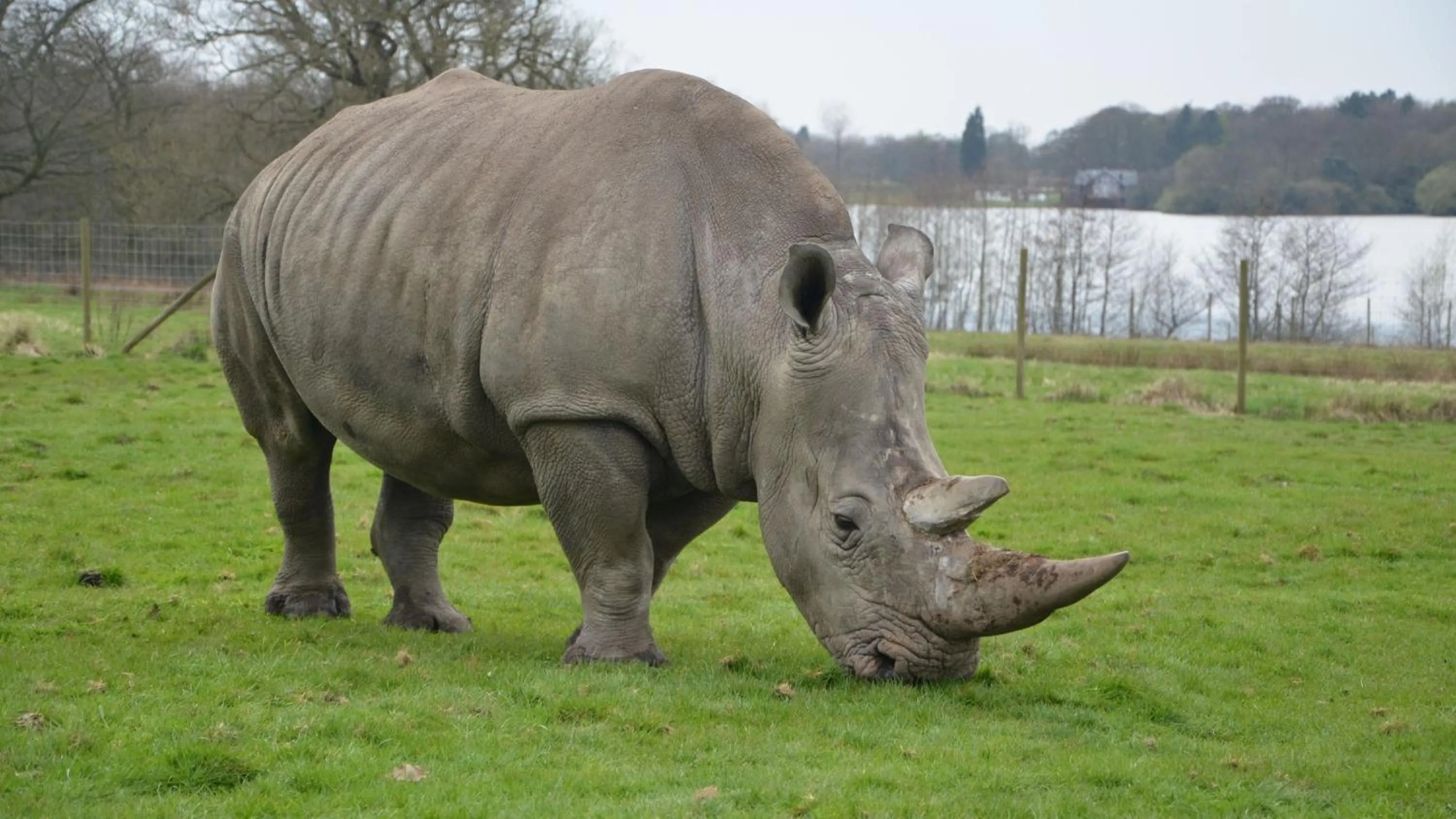 Nearby landmark in Holiday Inn Haydock by IHG