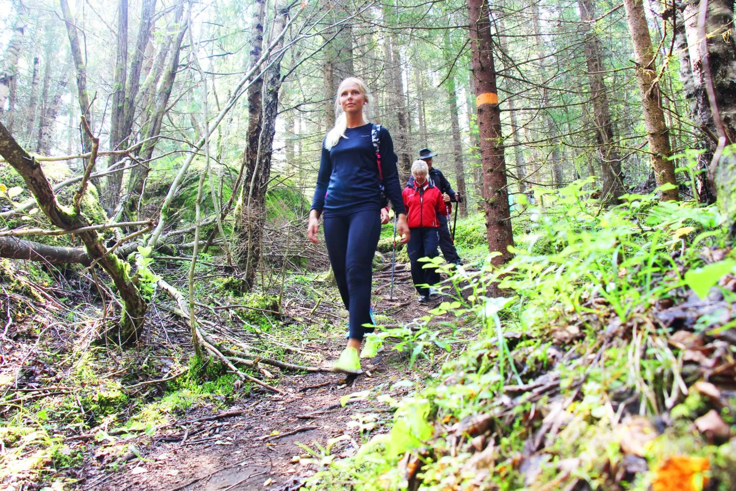 Hiking in First Camp Sunne - Fryksdalen