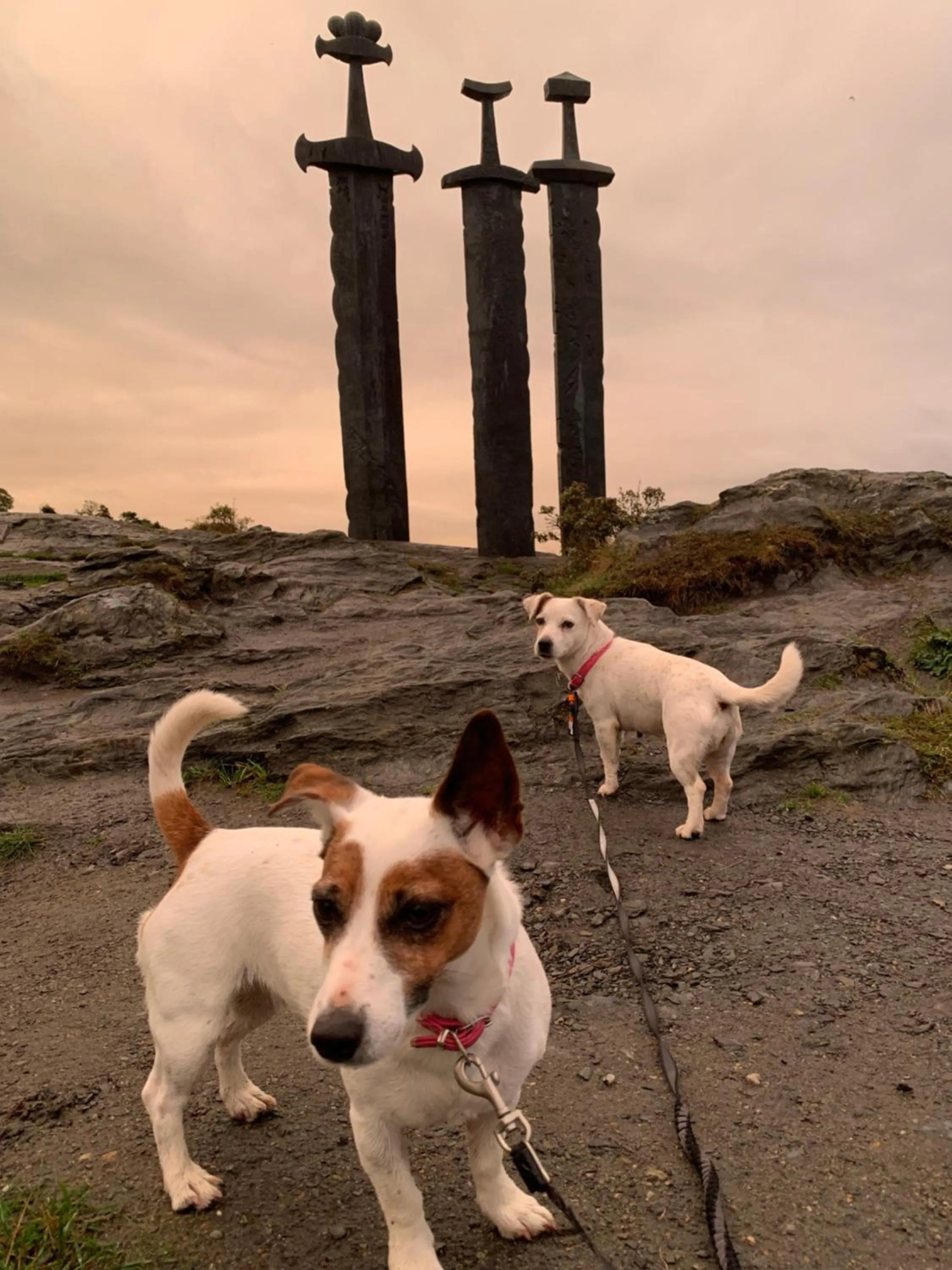 Neighbourhood in Sjøberg Hotell og Ferie Leiligheter