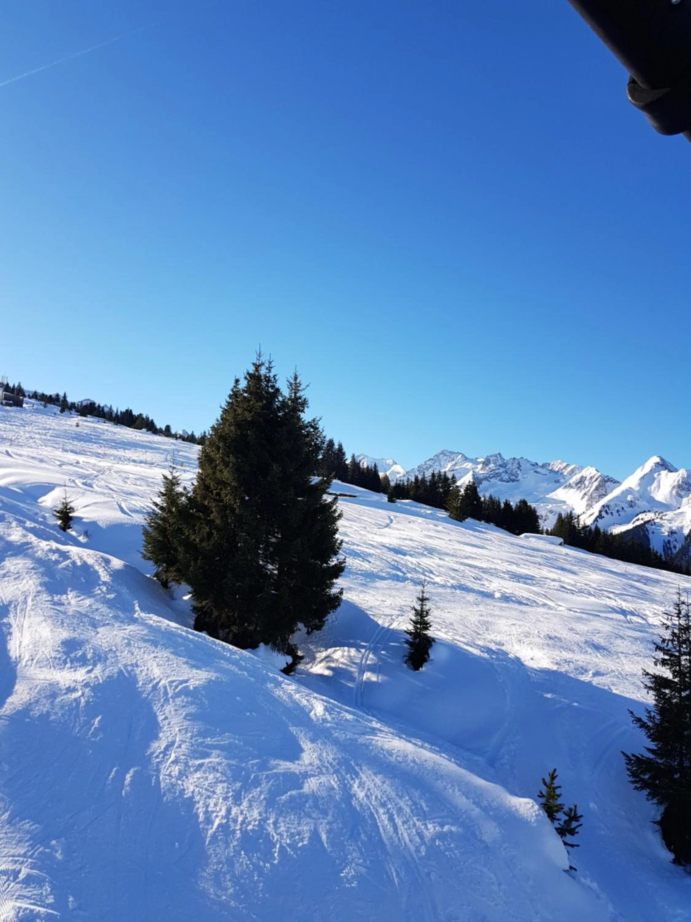 Natural landscape in Appartement Weigl