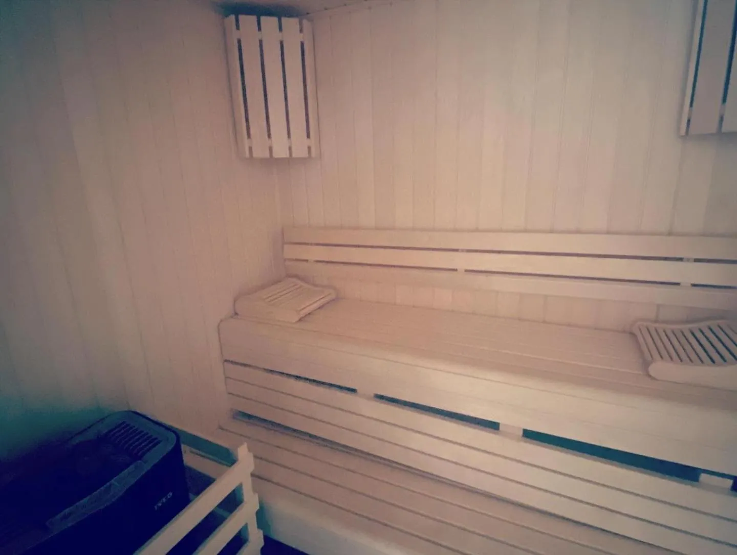 Sauna in Hôtel & SPA Rodier