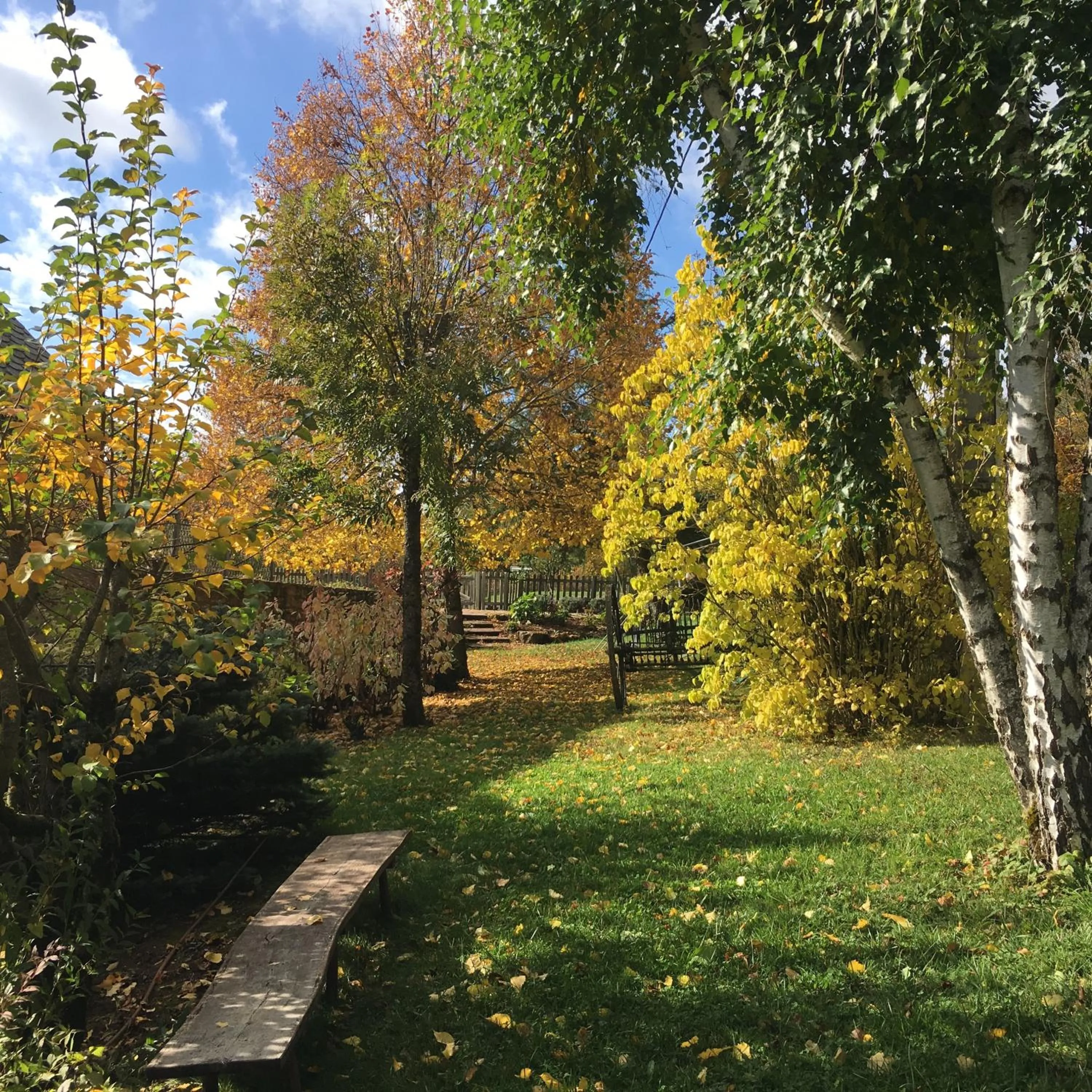 Natural landscape in Hôtel & SPA Rodier