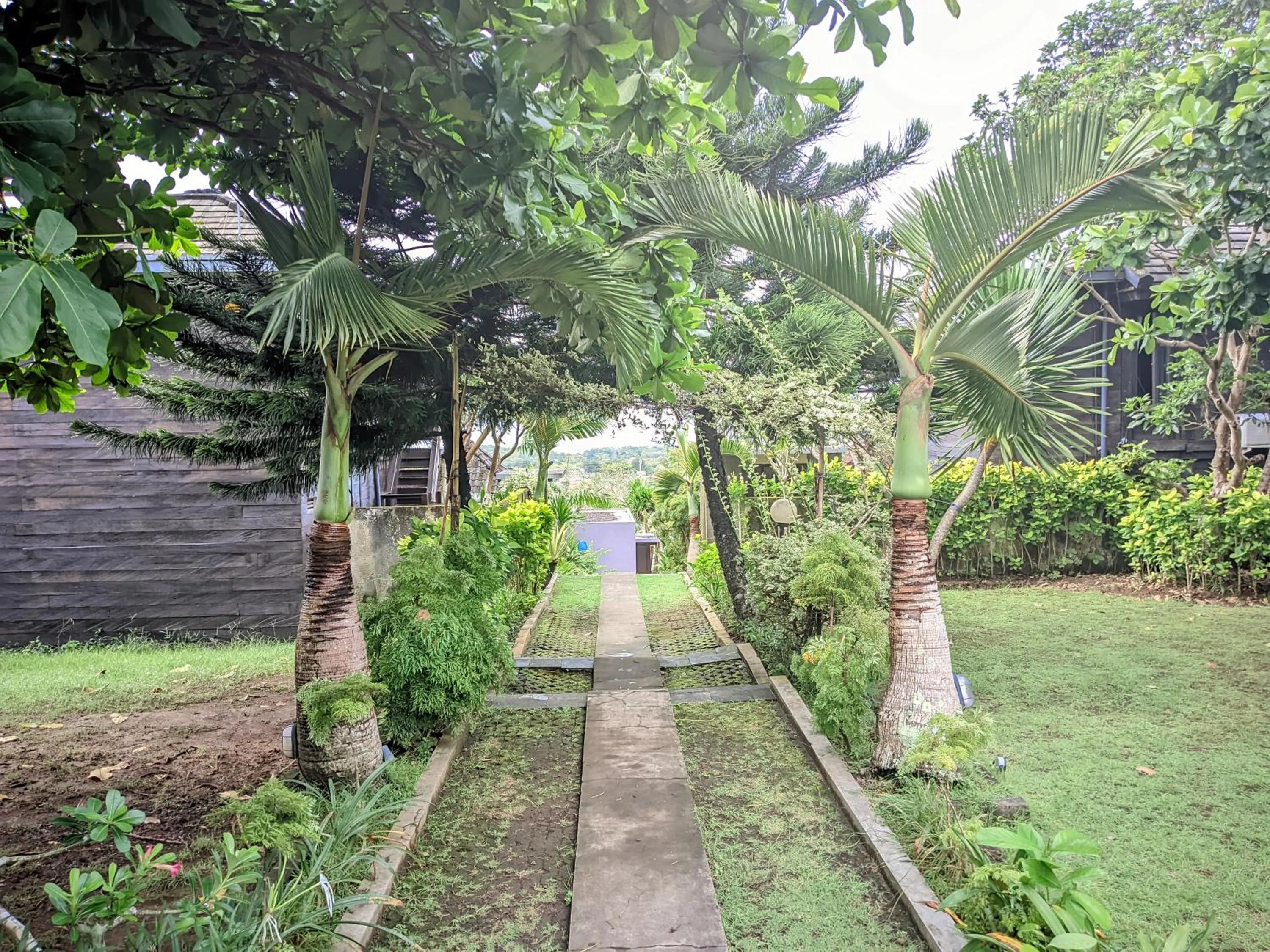 Spring in The Kawan Jimbaran