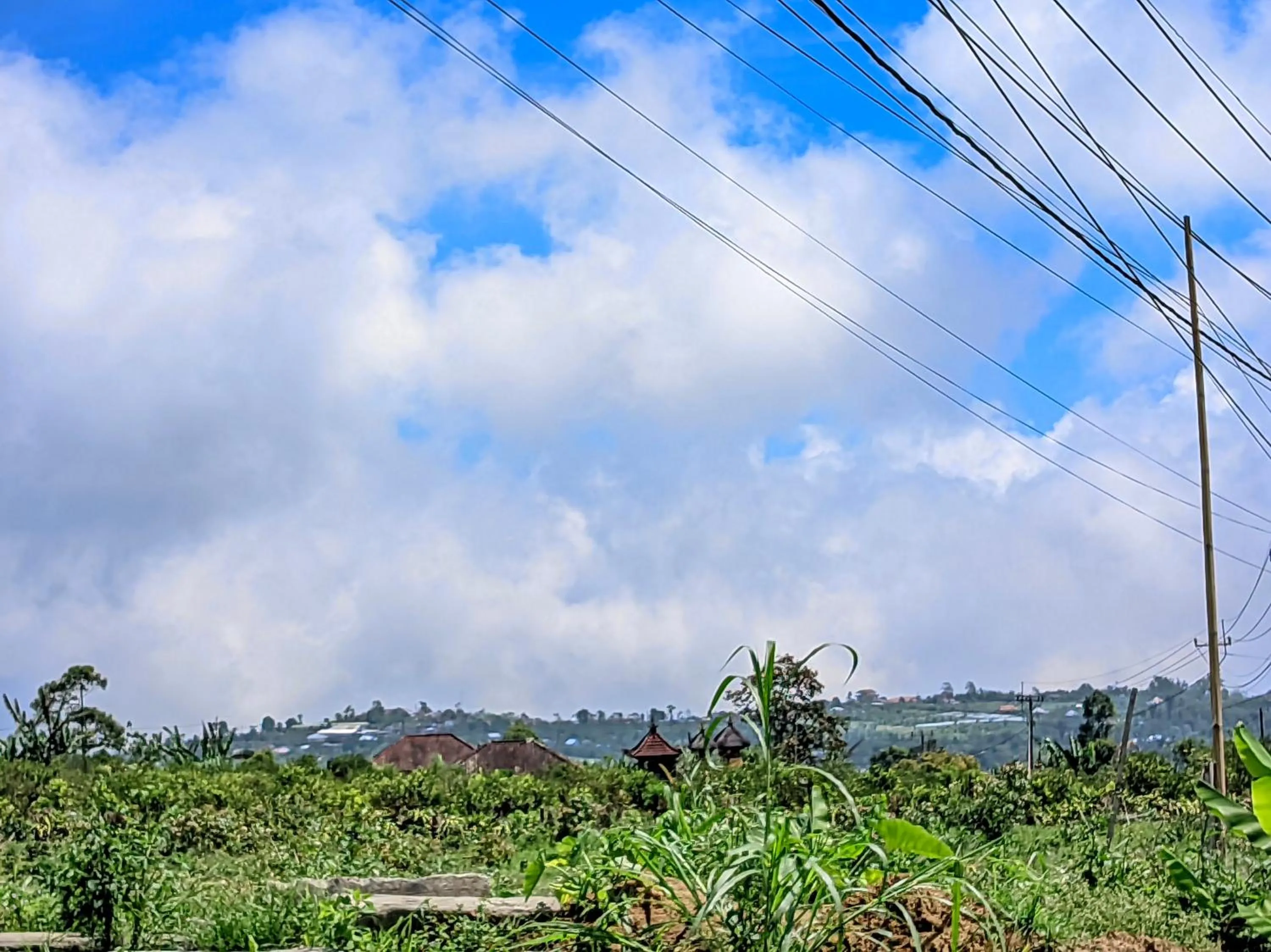 Natural landscape in The Kawan Jimbaran