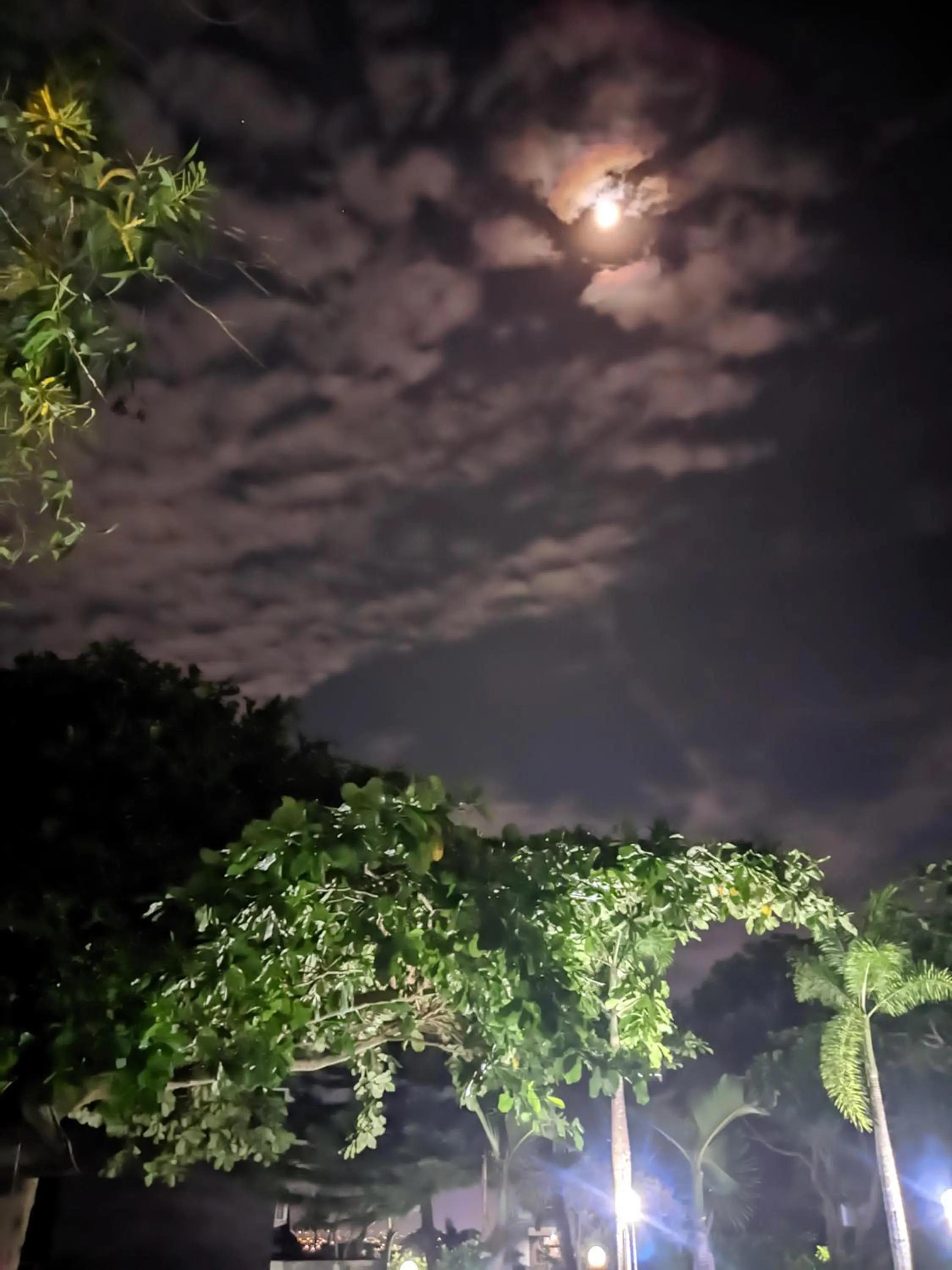 Night in The Kawan Jimbaran