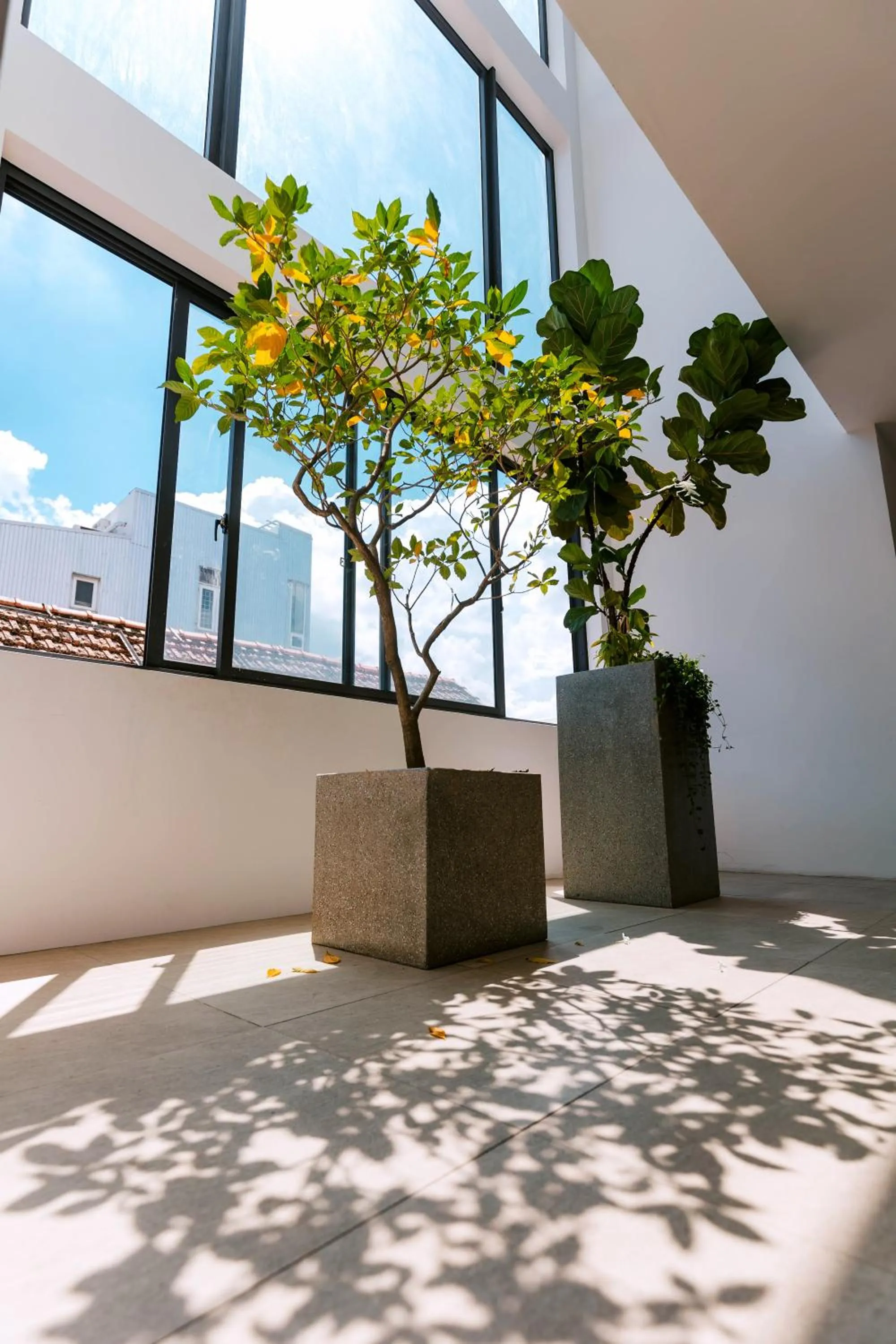 Balcony/Terrace in Gardenia Hue Hotel