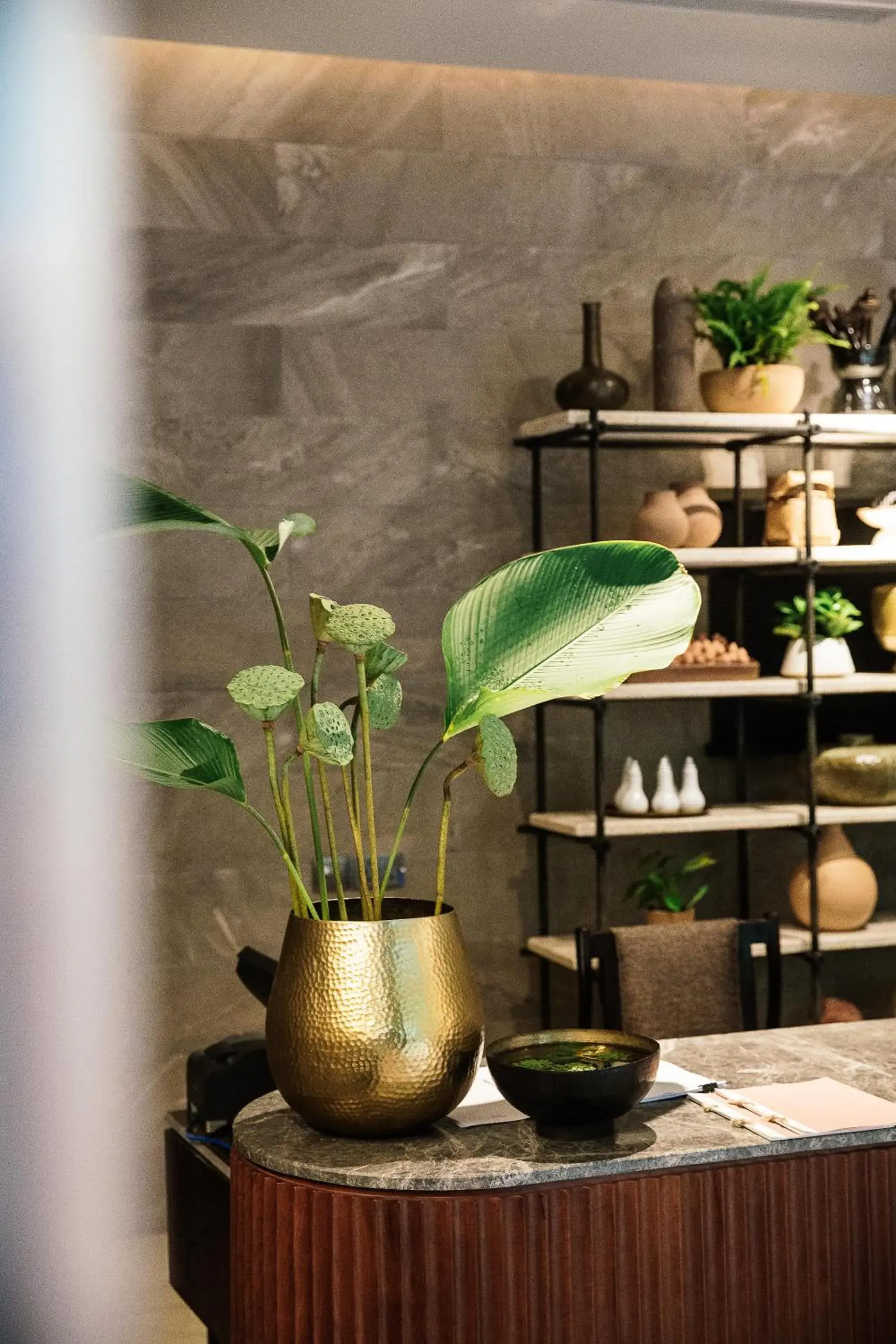 Spa and wellness centre/facilities in Treeline Urban Resort Spa and wellness centre/facilities in Treeline Urban Resort