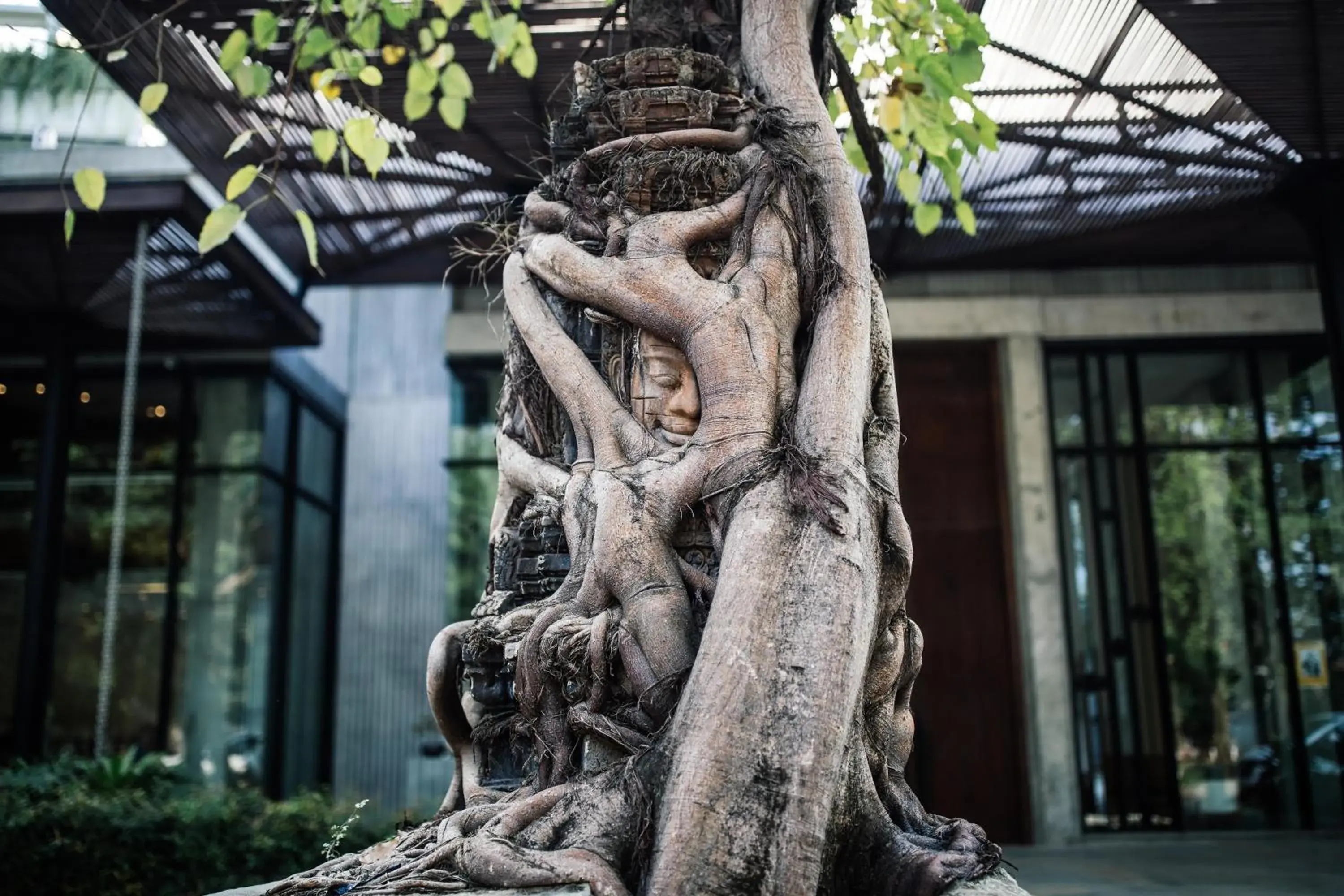 Property building in Treeline Urban Resort Property building in Treeline Urban Resort