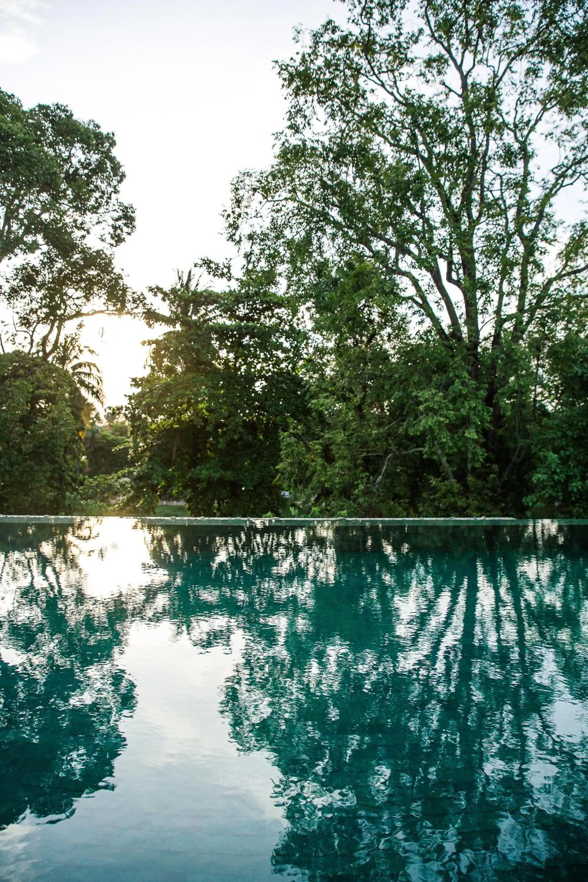 Swimming pool in Treeline Urban Resort
