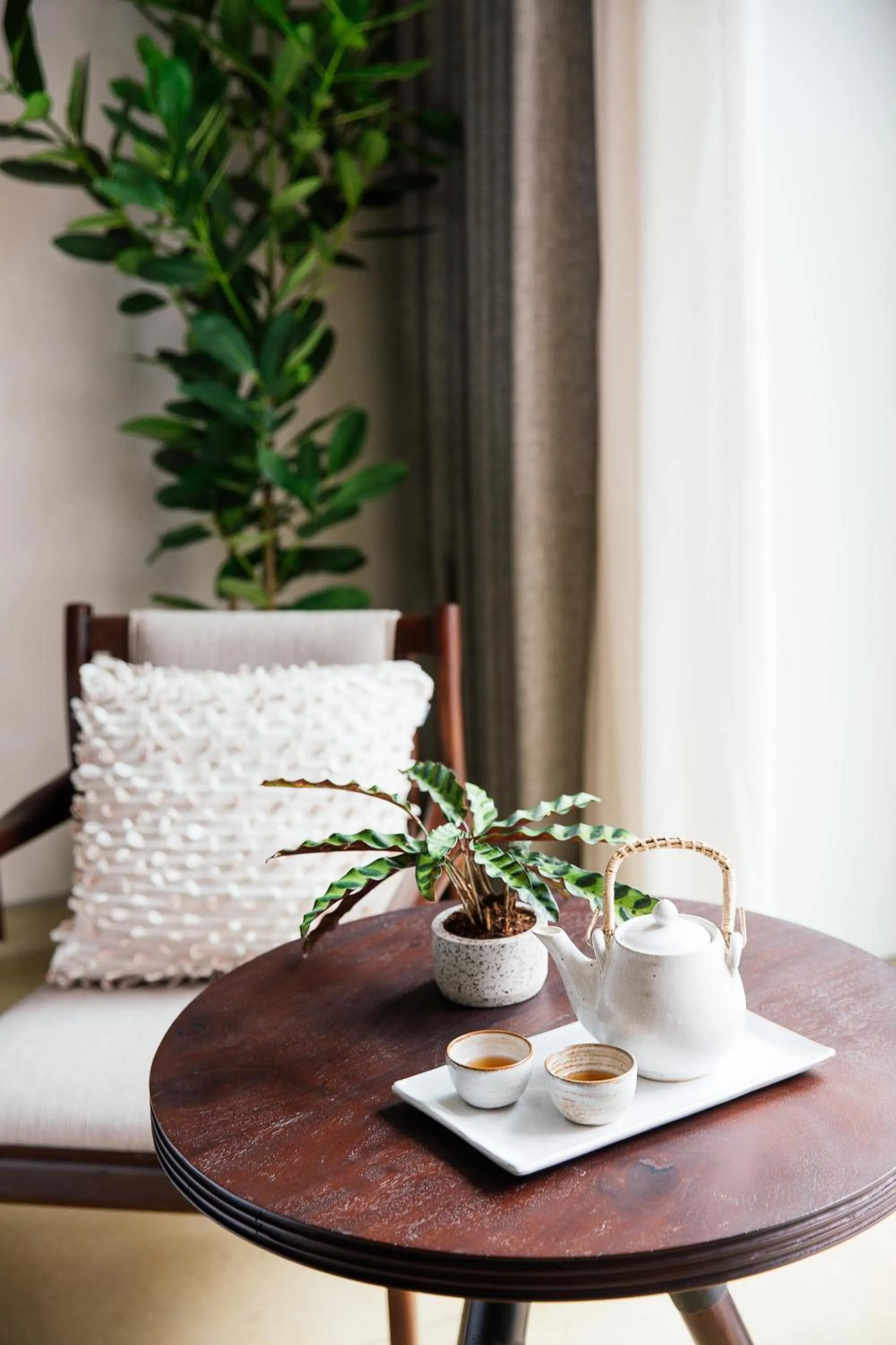 Photo of the whole room in Treeline Urban Resort