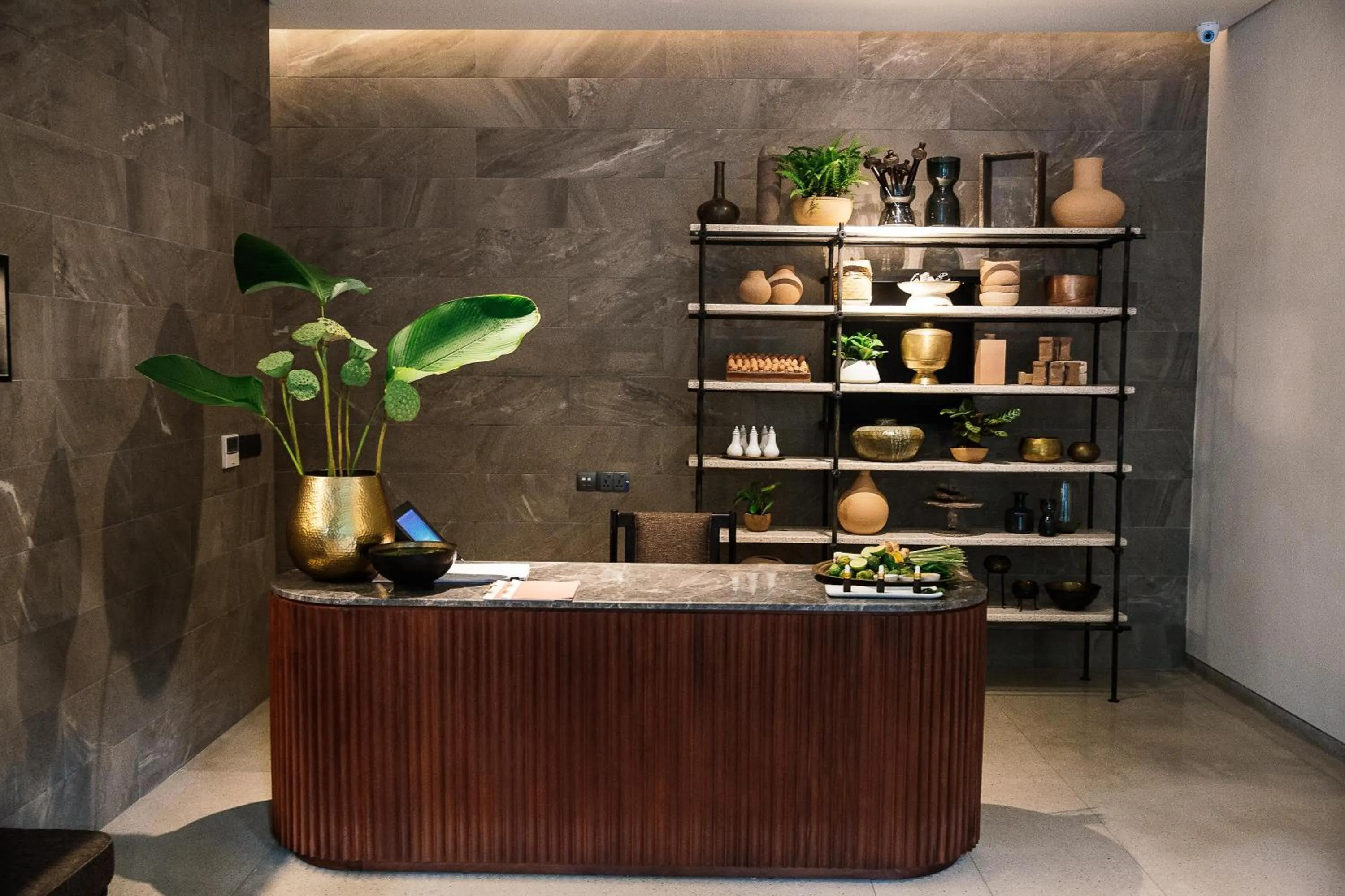 Lobby or reception in Treeline Urban Resort