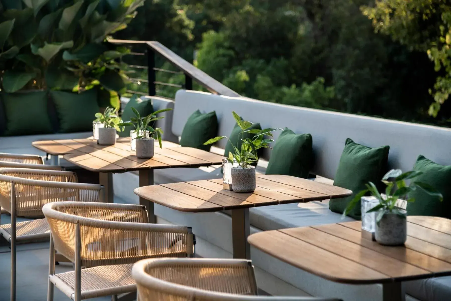 Restaurant/places to eat in Treeline Urban Resort Restaurant/places to eat in Treeline Urban Resort