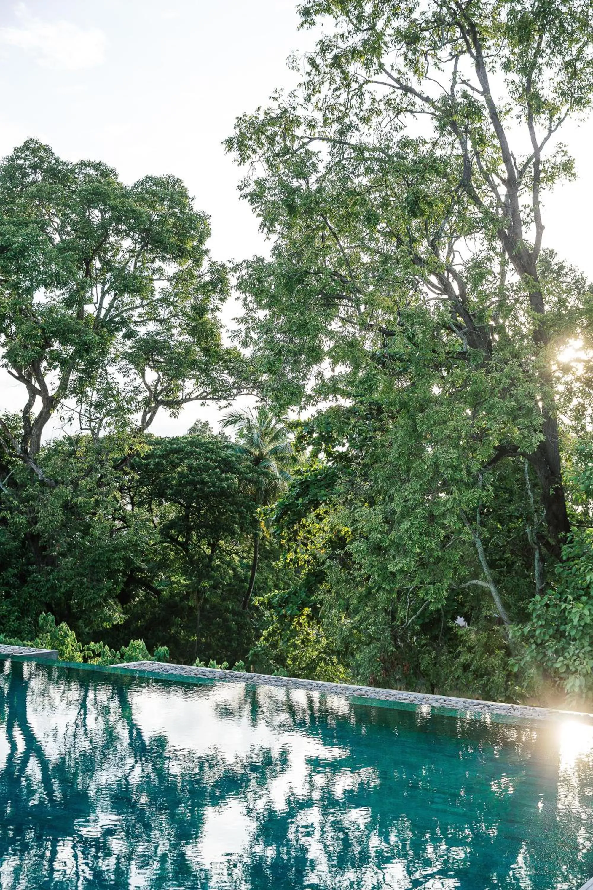 Swimming pool in Treeline Urban Resort