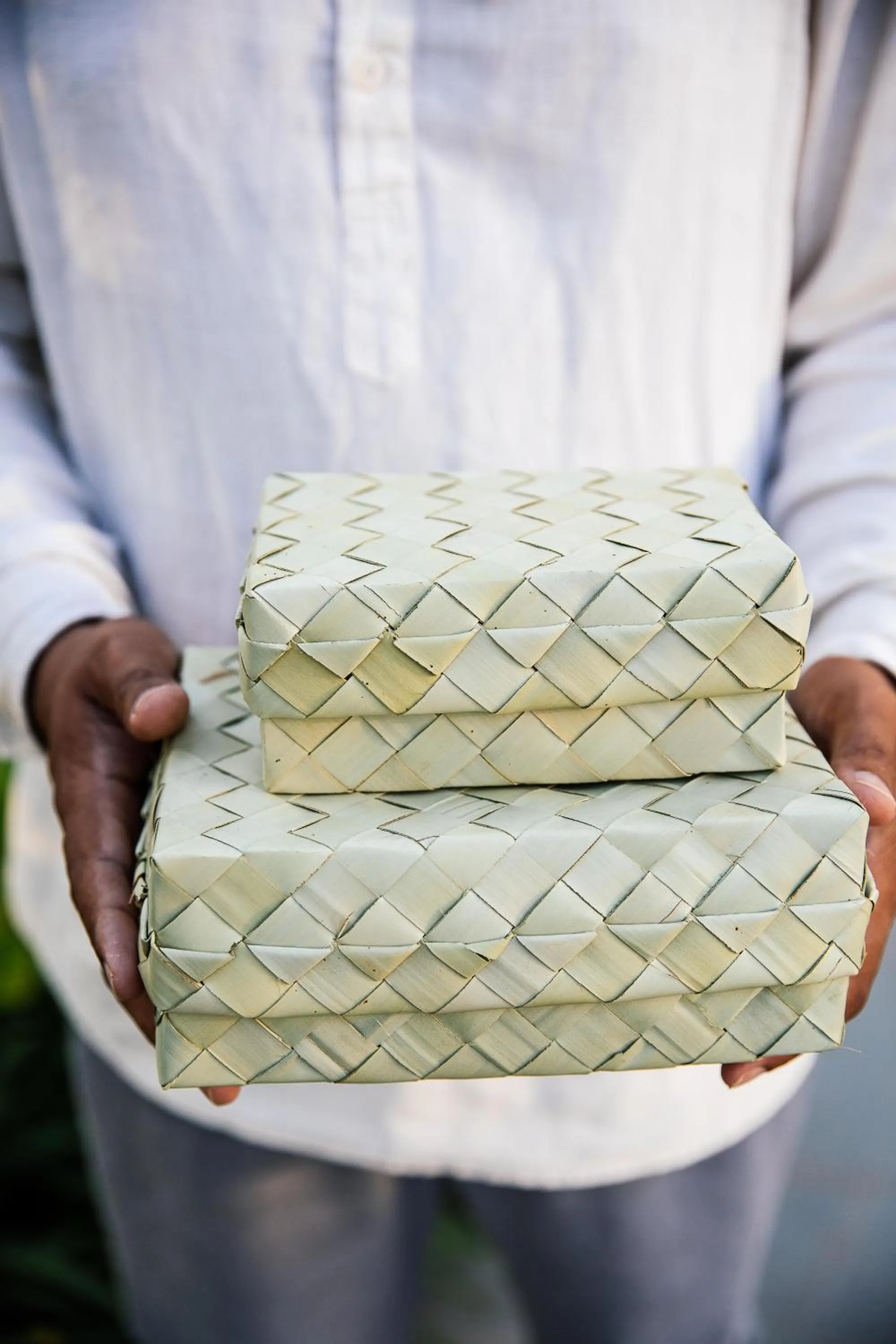 Landmark view in Treeline Urban Resort