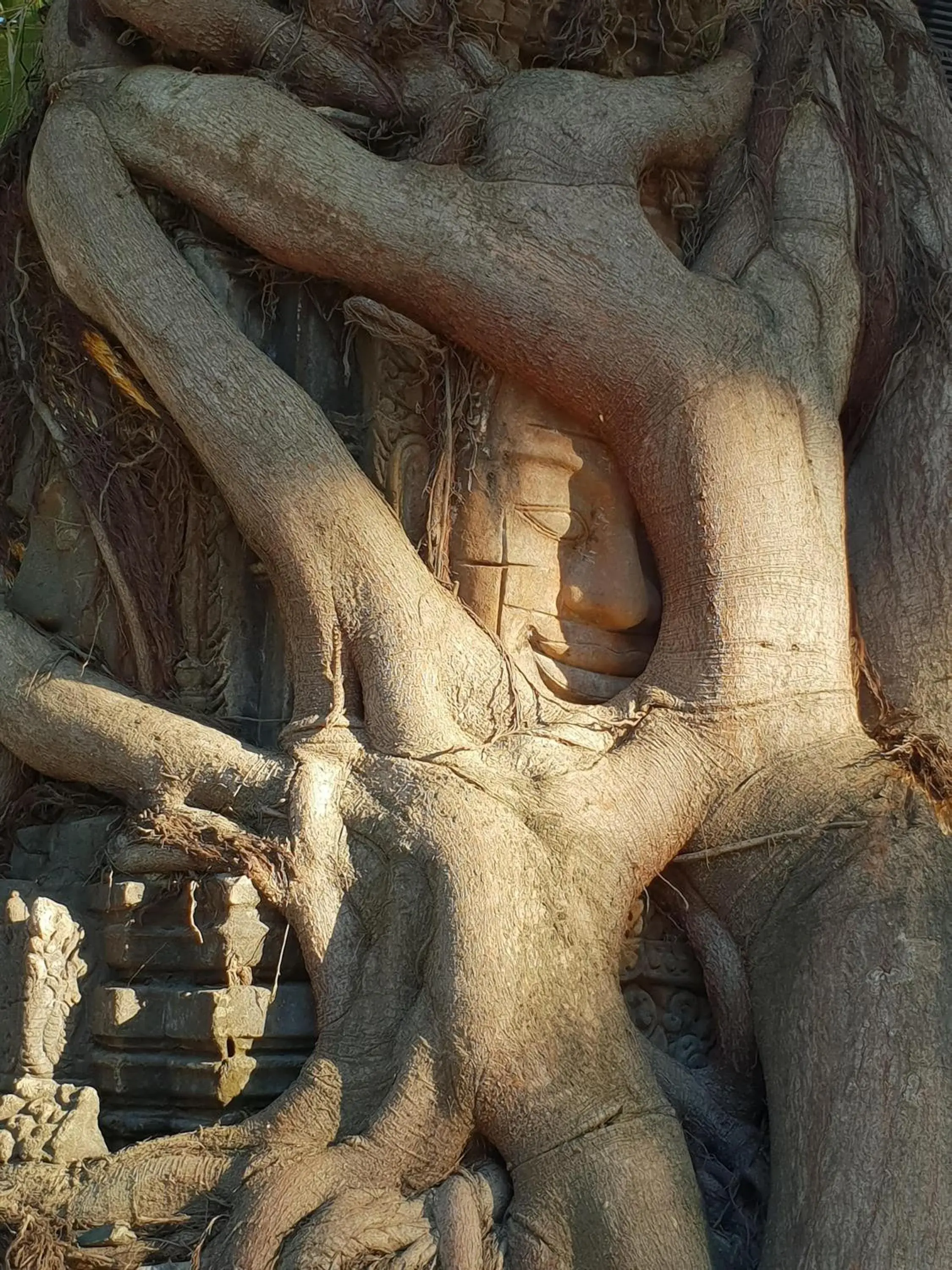 Property building in Treeline Urban Resort Property building in Treeline Urban Resort