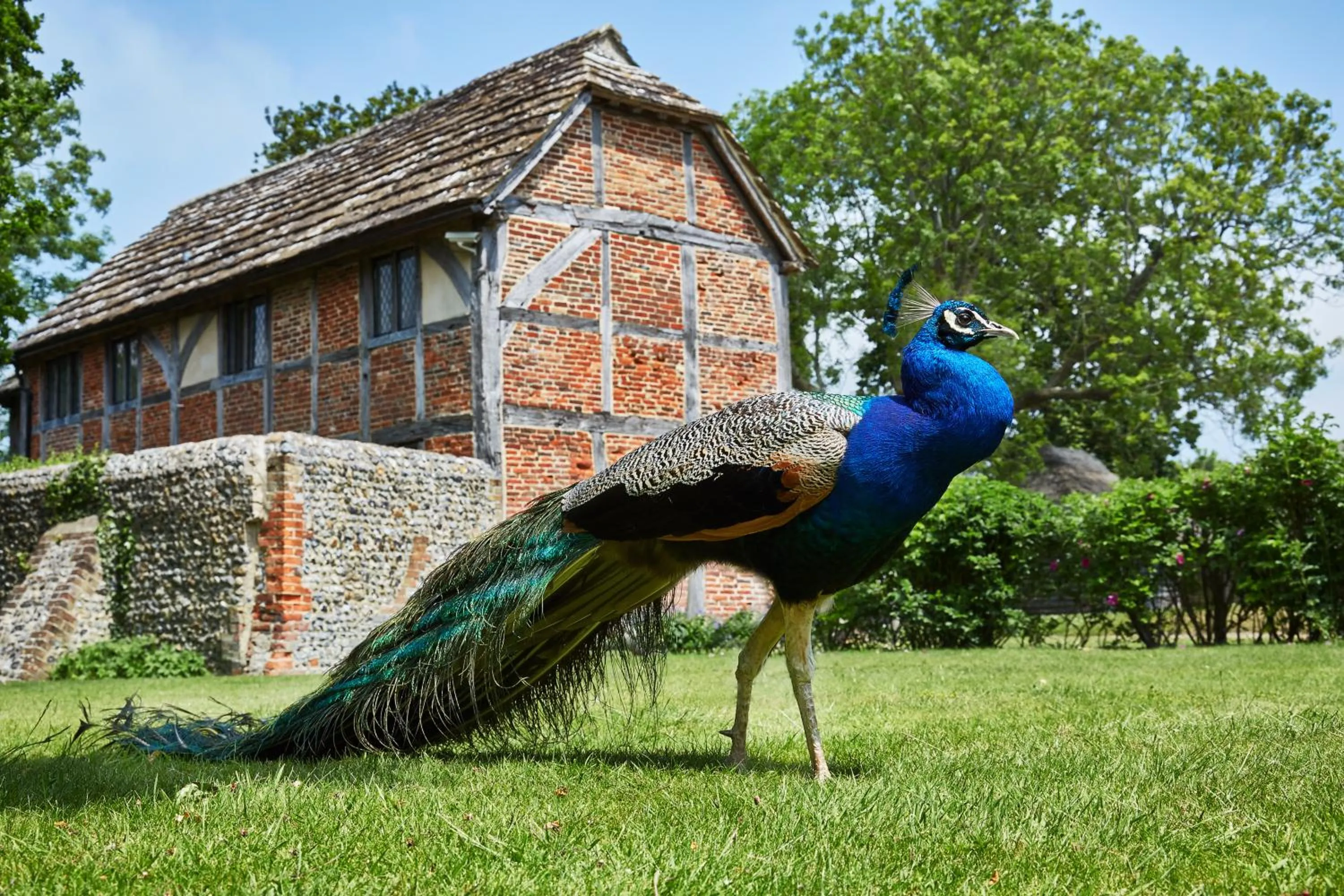 Property building in Bailiffscourt Hotel & Spa