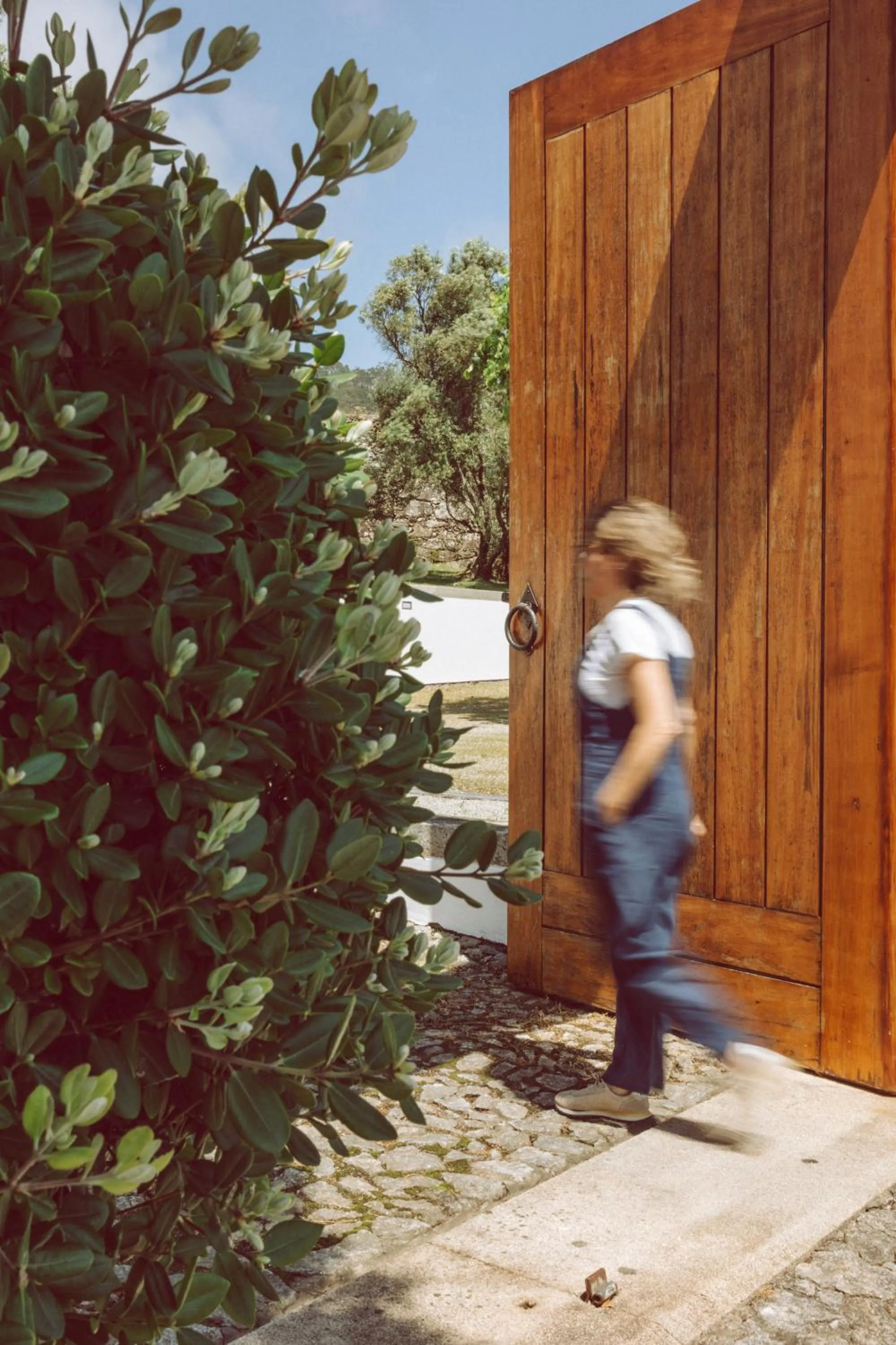 Off site in Quinta do Monteverde