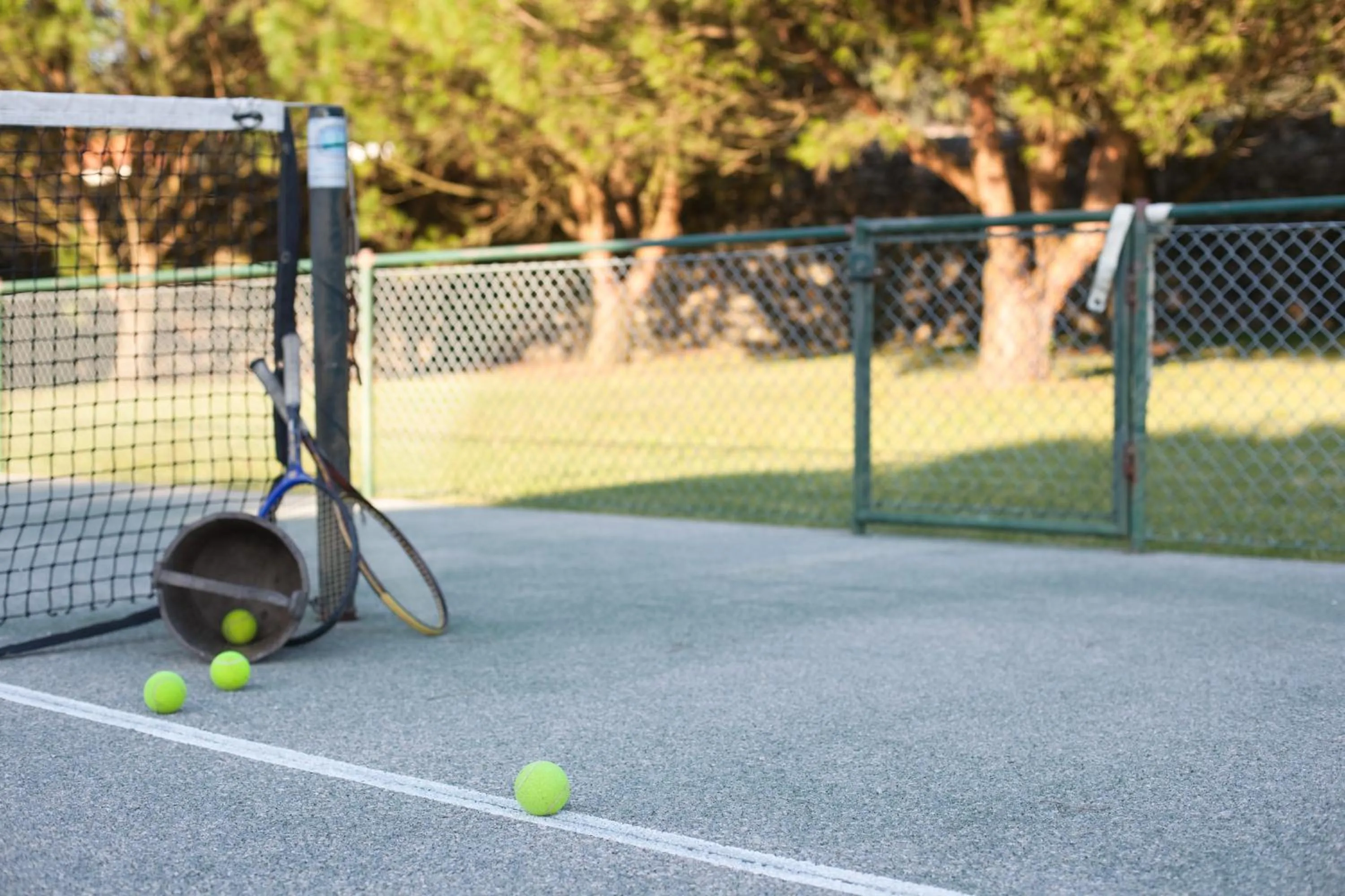 Day in Quinta do Monteverde