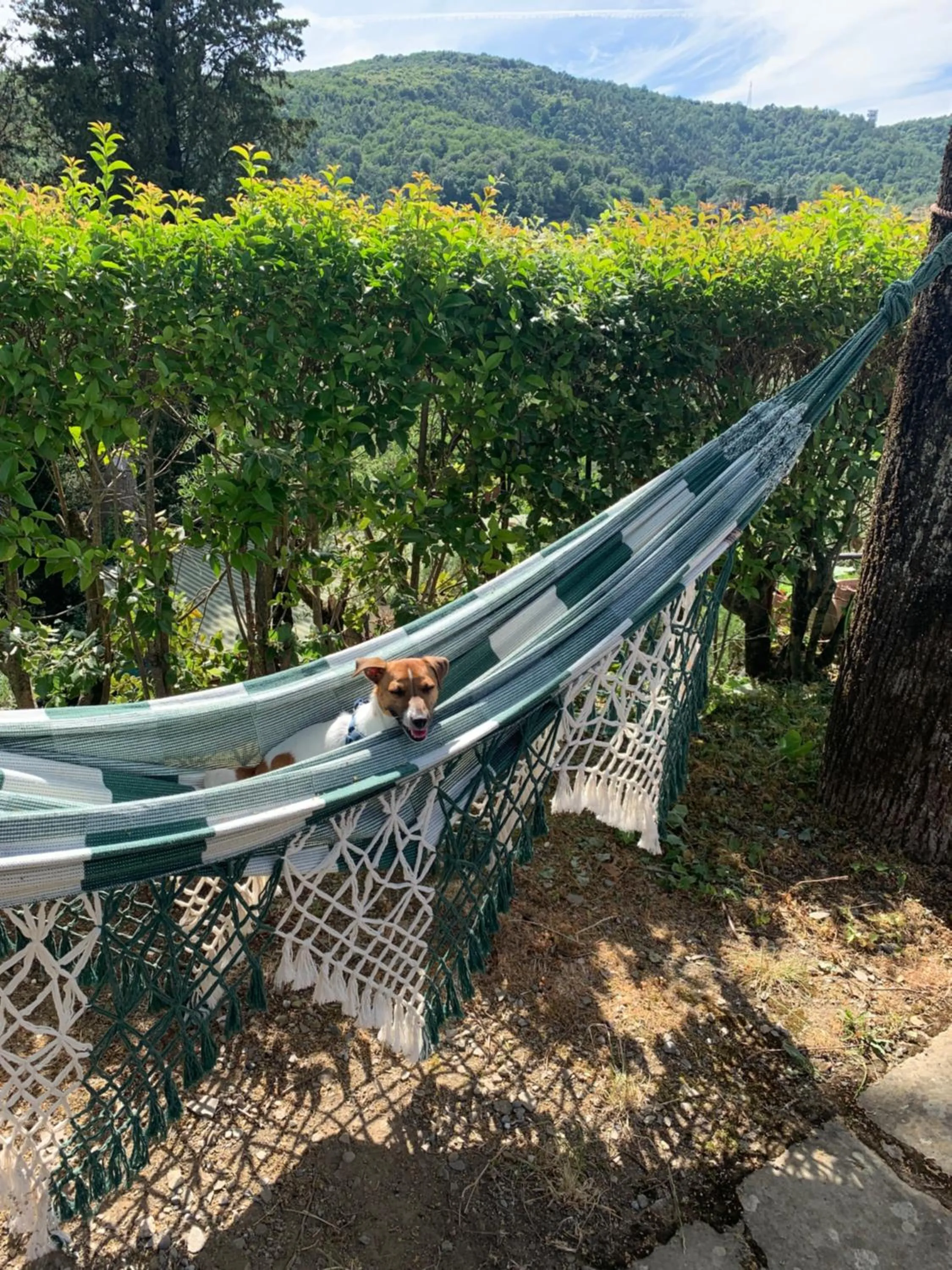 Barco Mediceo B&B In Toscana