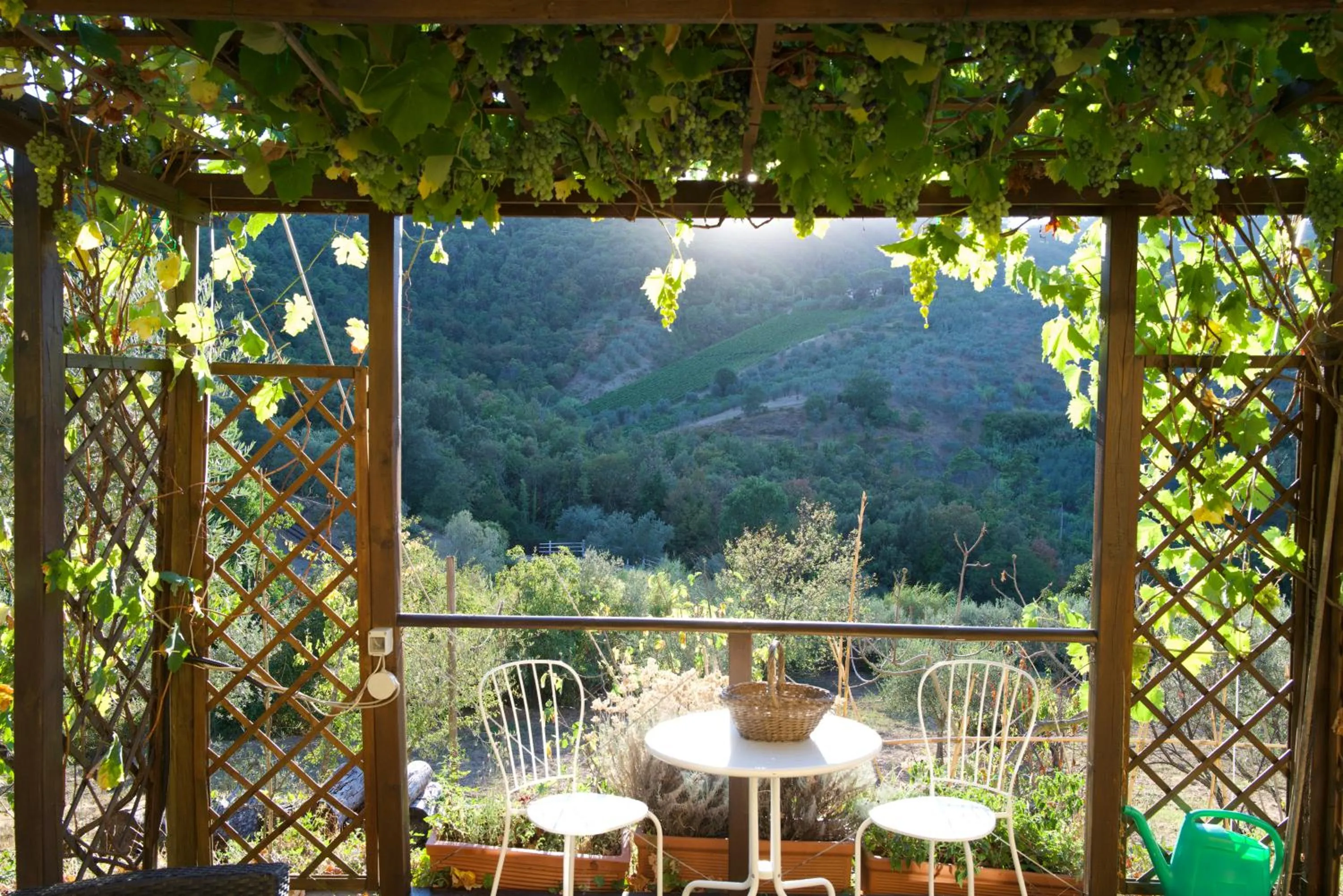 Barco Mediceo B&B In Toscana