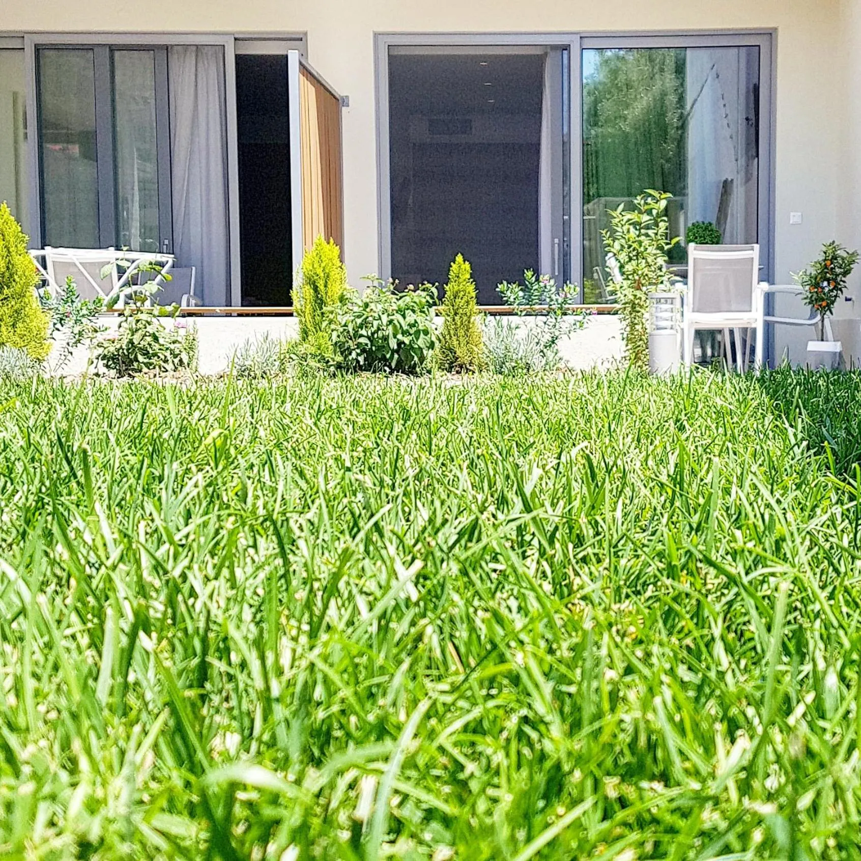 Patio in Mougre studios