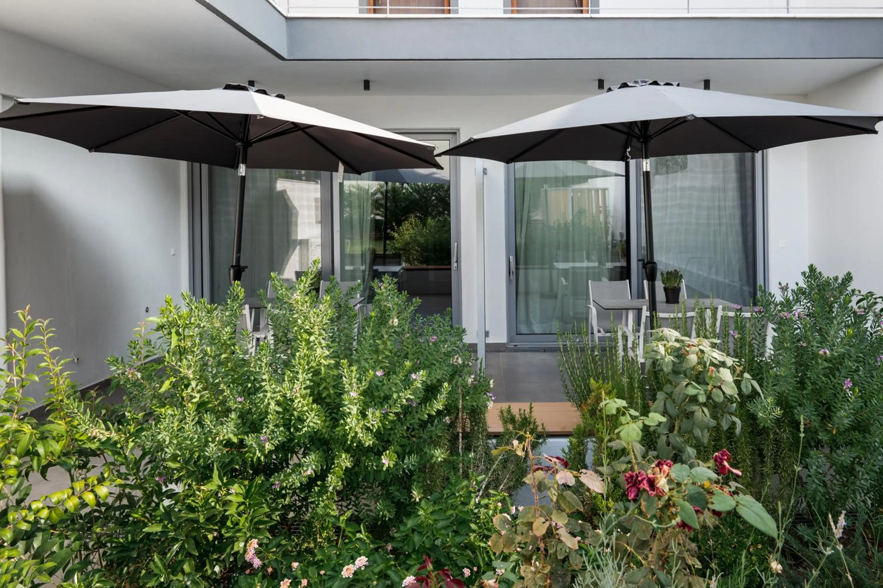 Patio in Mougre studios