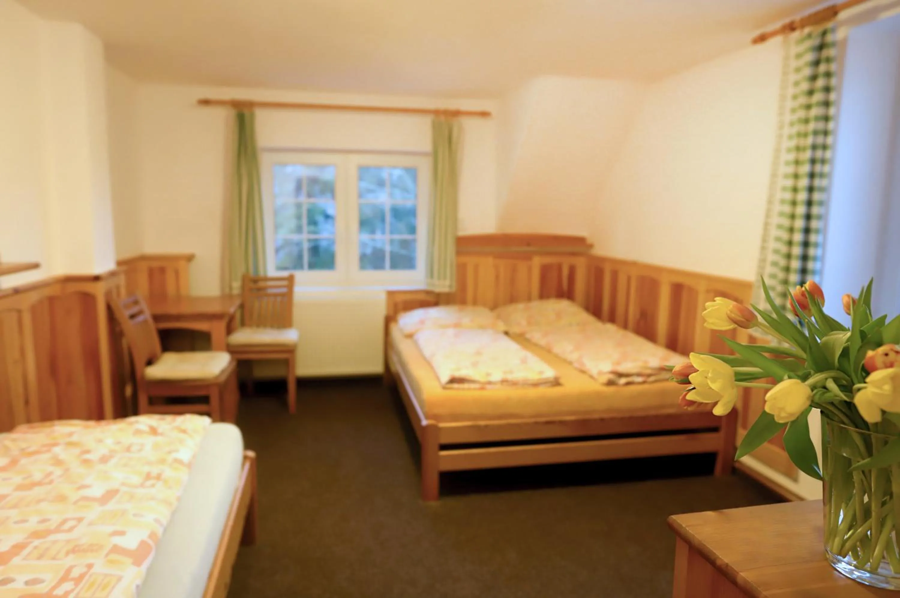 Bed in Hotel Sirákov