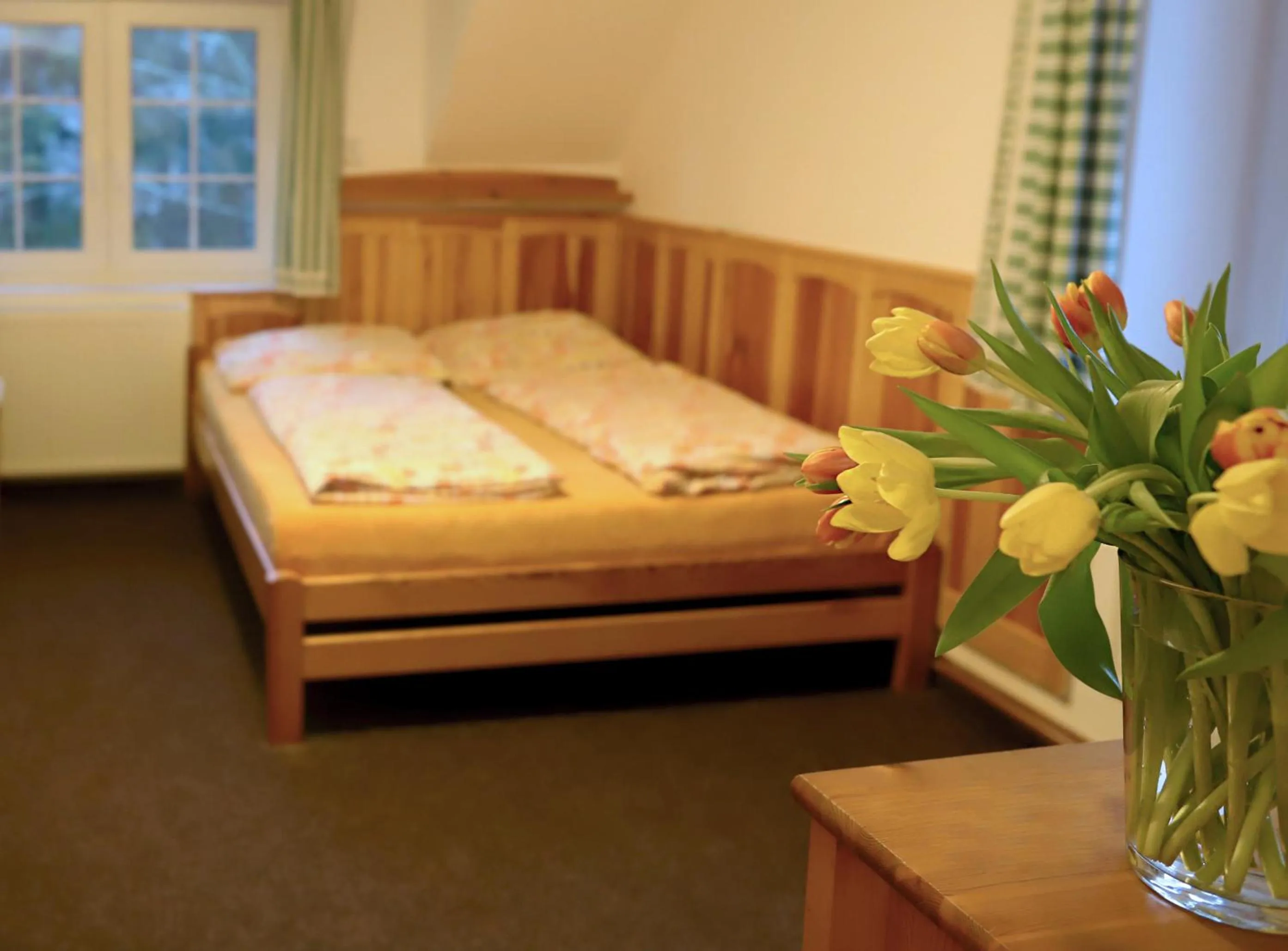 Bed in Hotel Sirákov