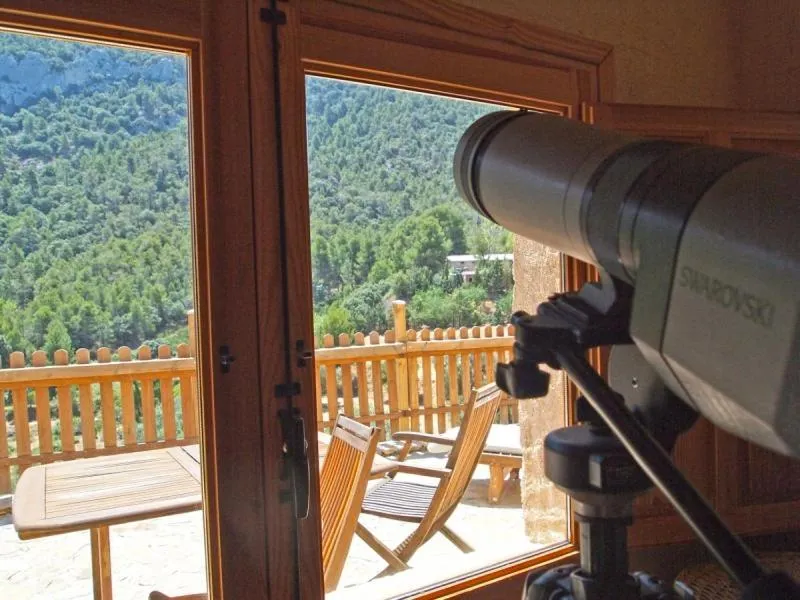 View (from property/room) in Observatorio de Buitres Mas de Bunyol