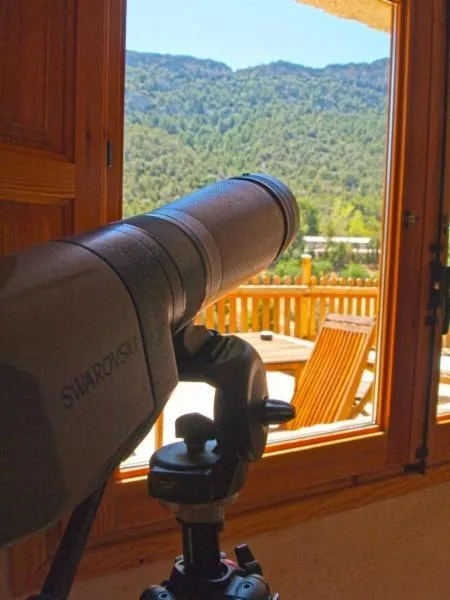 View (from property/room) in Observatorio de Buitres Mas de Bunyol