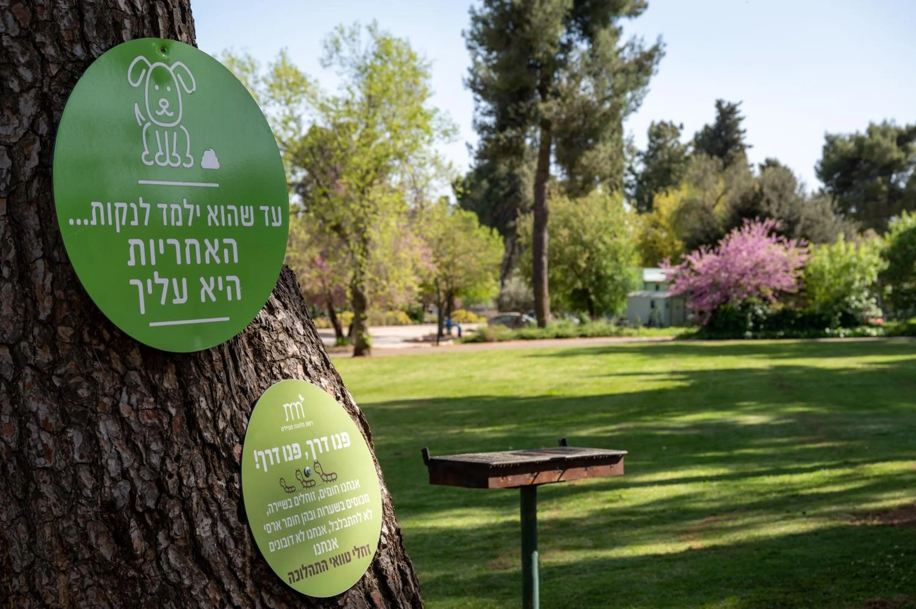 Natural landscape in Kibbutz Malkiya Travel Hotel