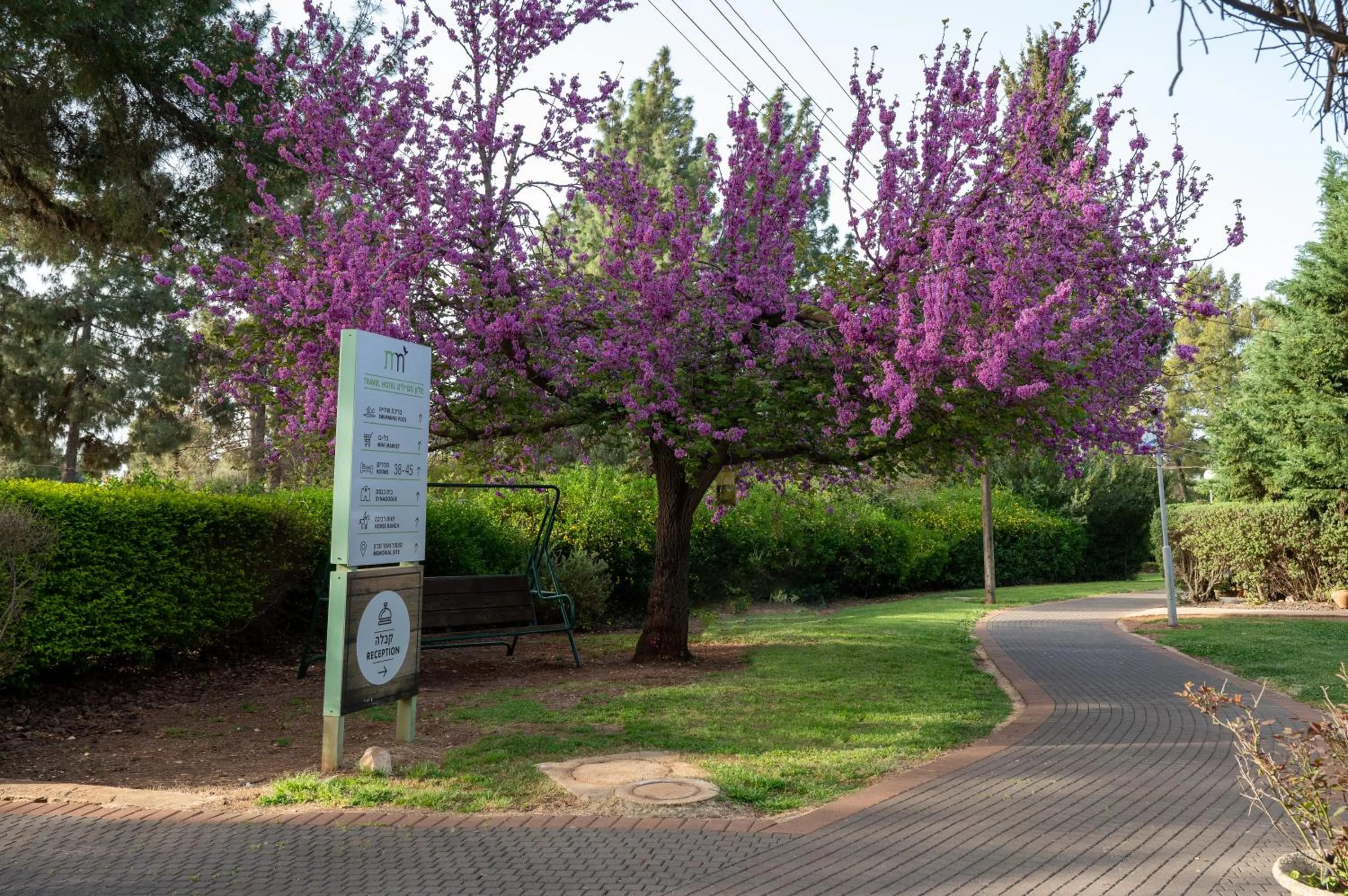 Natural landscape in Kibbutz Malkiya Travel Hotel
