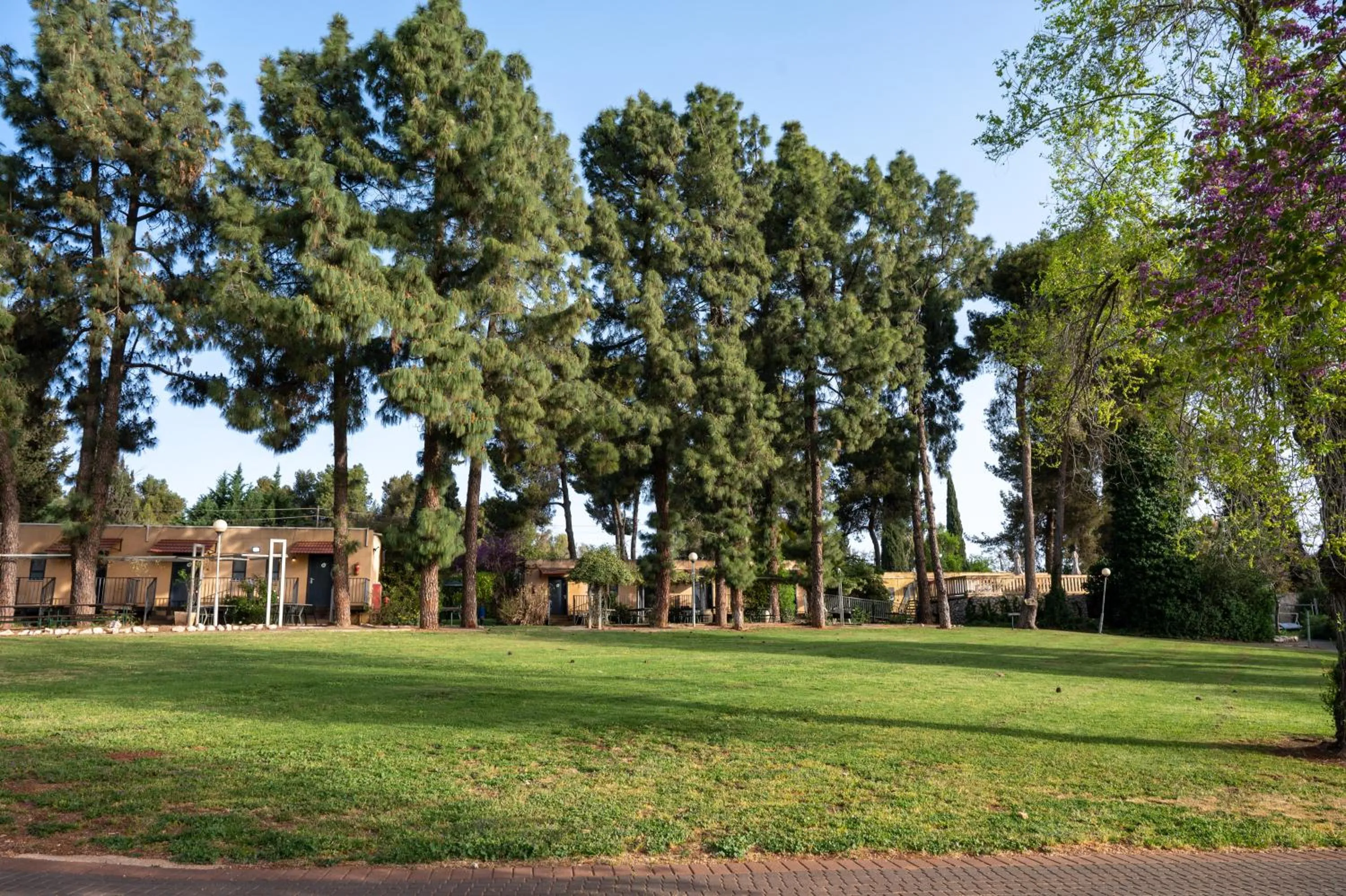 Facade/entrance in Kibbutz Malkiya Travel Hotel