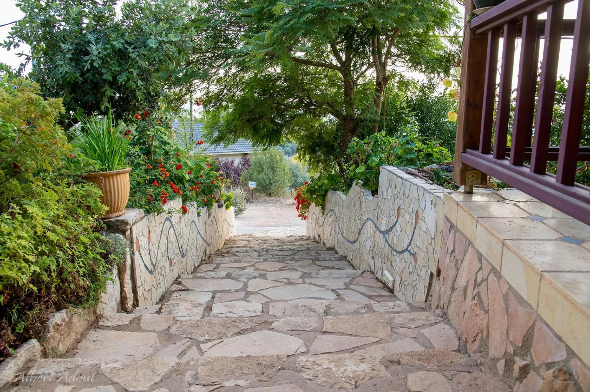 Garden in Dream Time