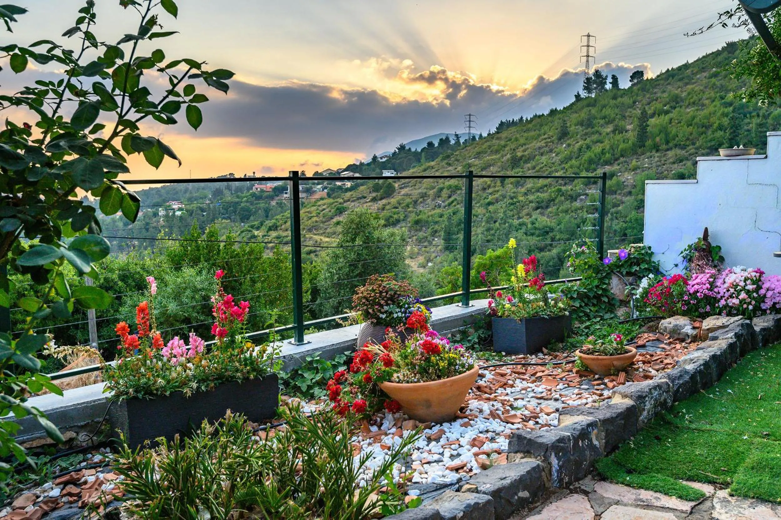 Garden in Dream Time