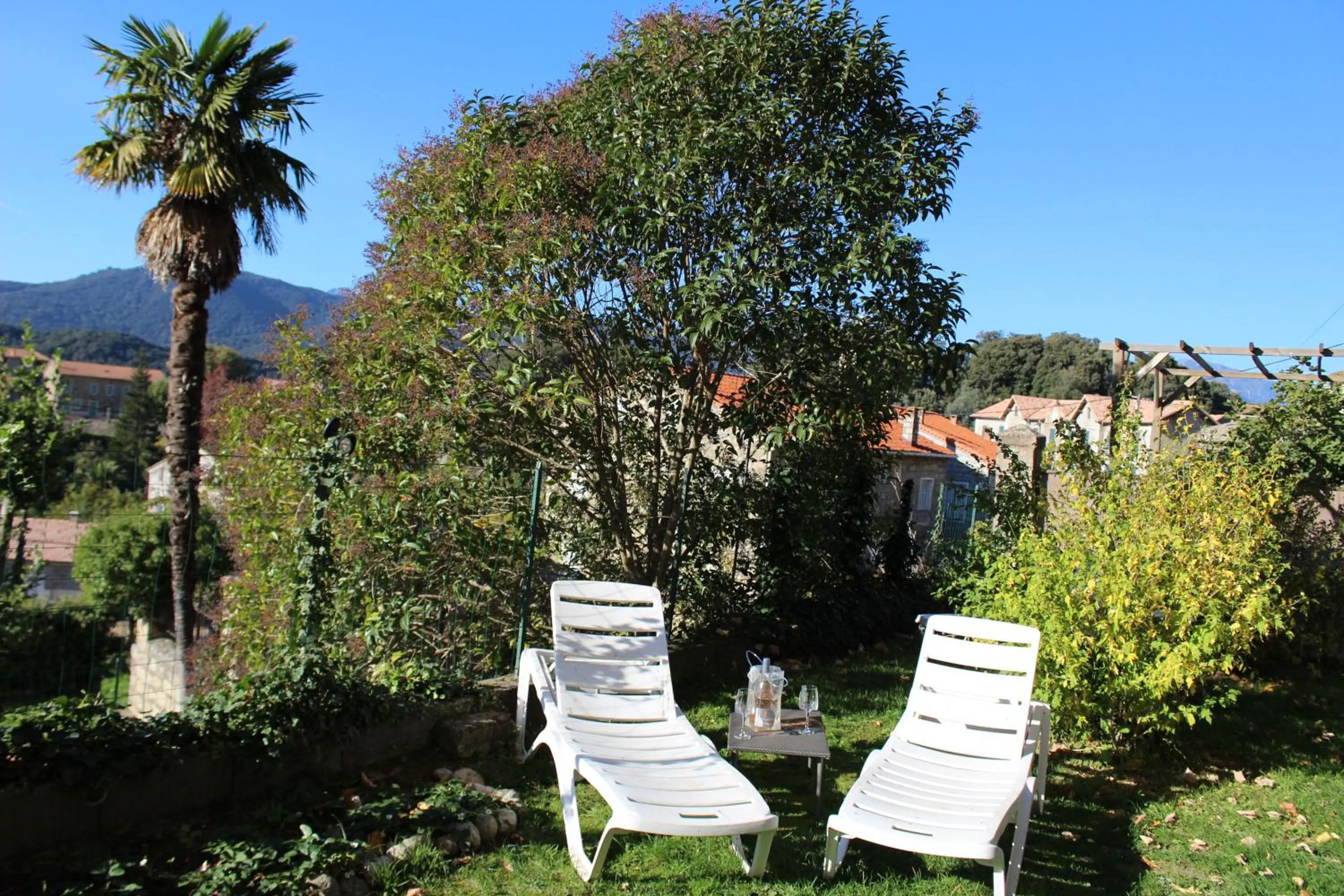 Garden in Gîte du Chalet Pietri