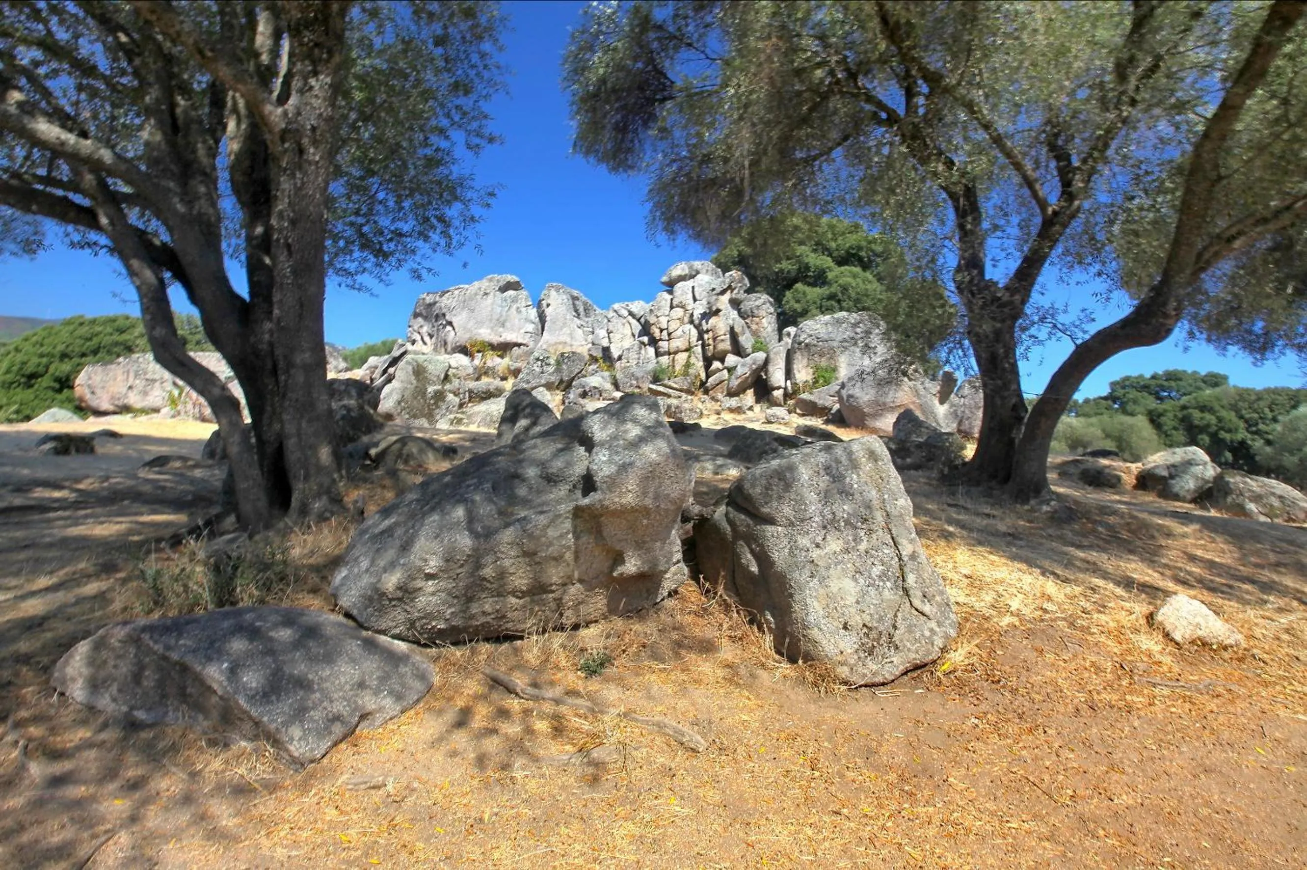 Off site in Gîte du Chalet Pietri