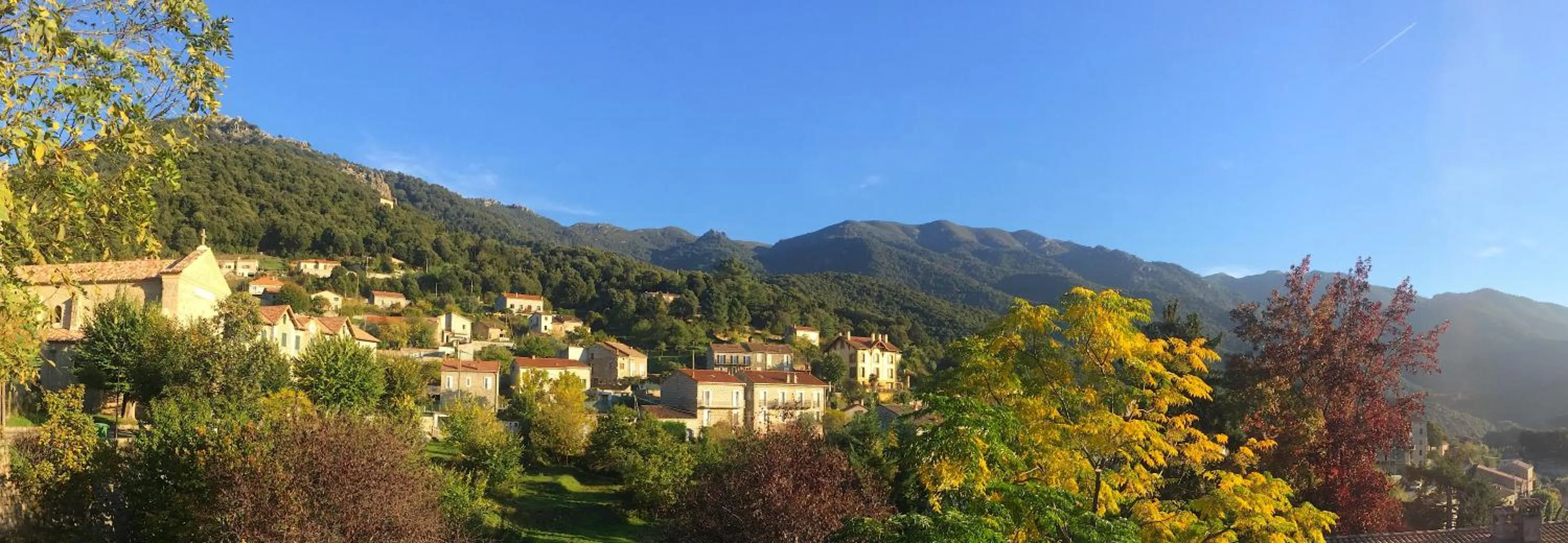View (from property/room) in Gîte du Chalet Pietri