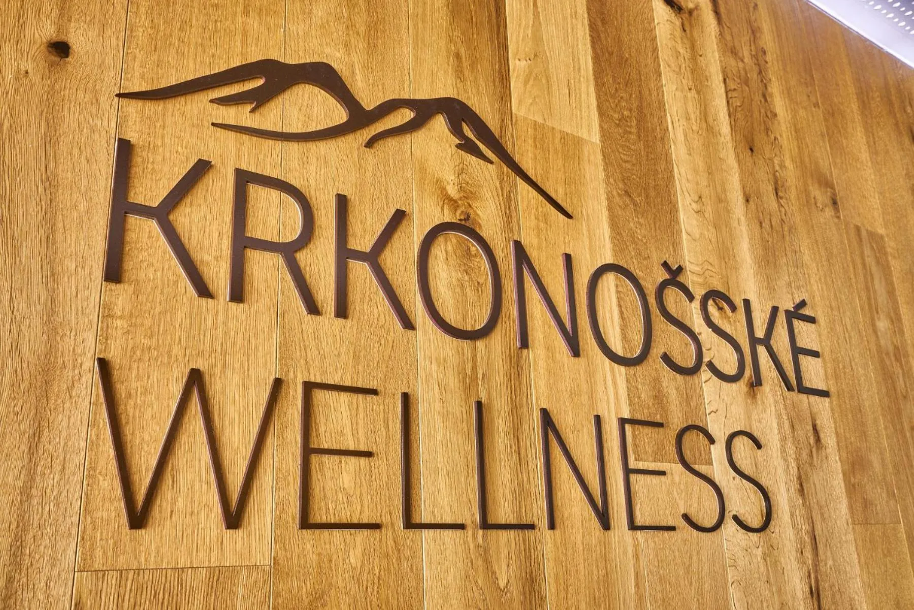 Massage in Aparthotel Svatý Vavřinec