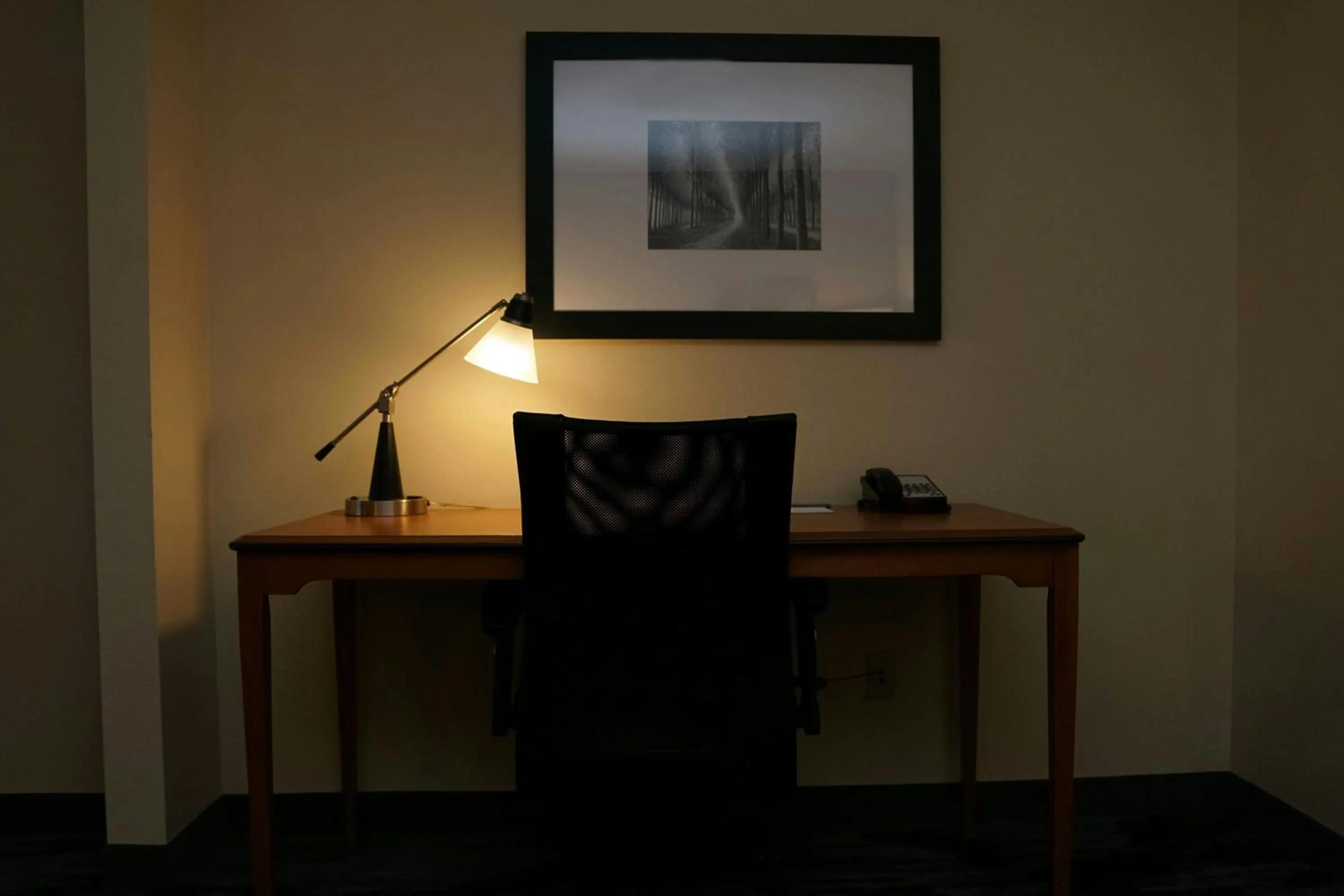 Photo of the whole room in Fairfield Inn & Suites by Marriott Denver Aurora/Parker