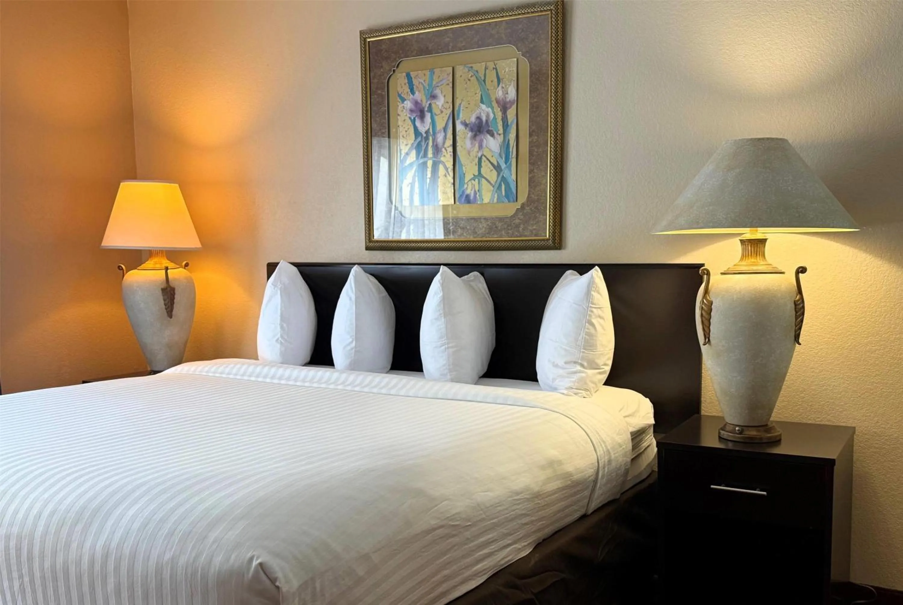 Photo of the whole room, Bed in Baymont by Wyndham Plainfield/ Indianapolis Arpt Area