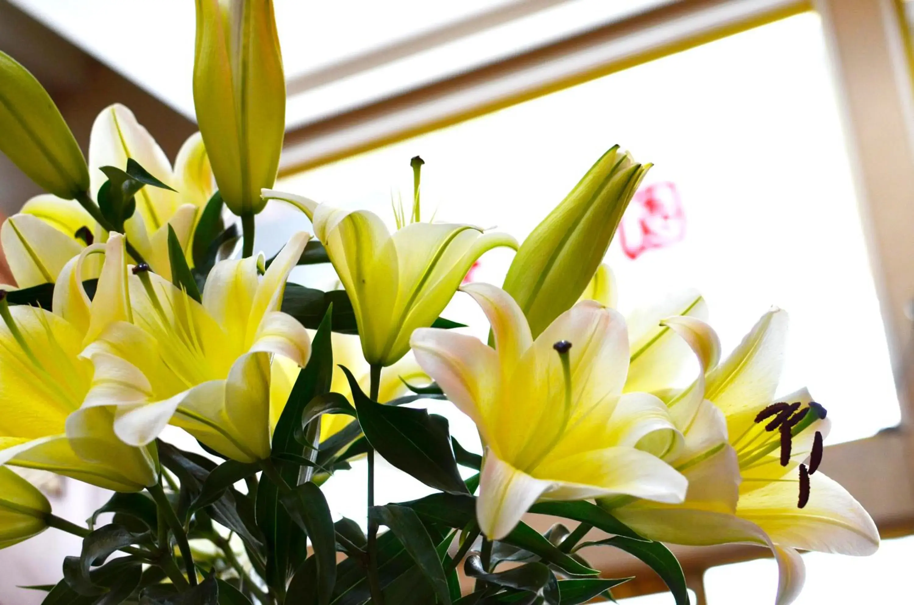 Lounge or bar in Nice Hotel Lounge or bar in Nice Hotel