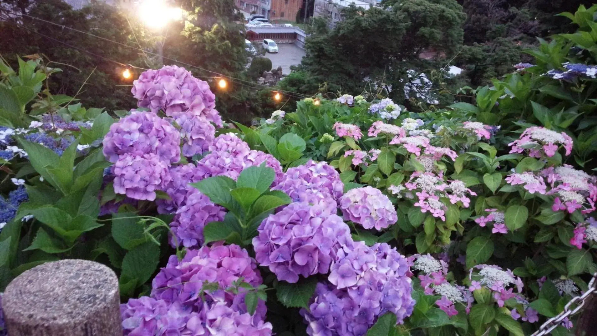 Neighbourhood in Kyoto-Gion Tourist House Neighbourhood in Kyoto-Gion Tourist House