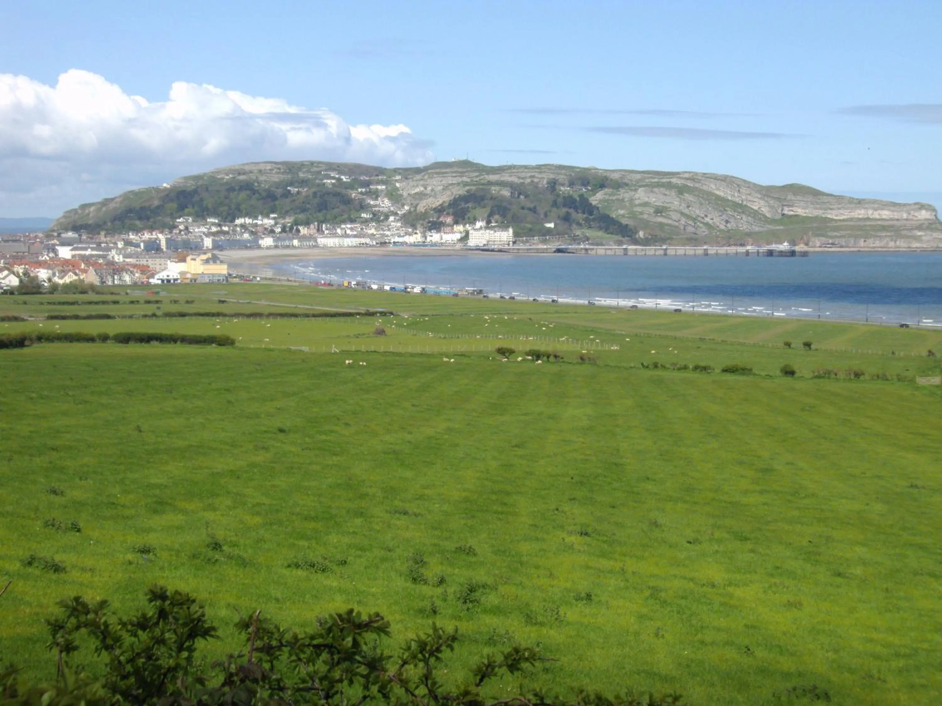 Natural landscape in THE TREVONE, Llandudno