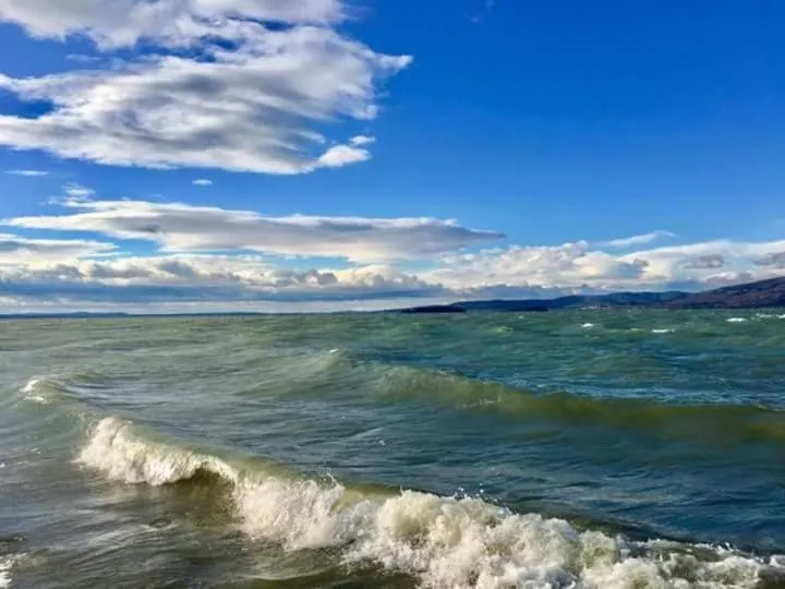 Neighbourhood in Hotel Torricella